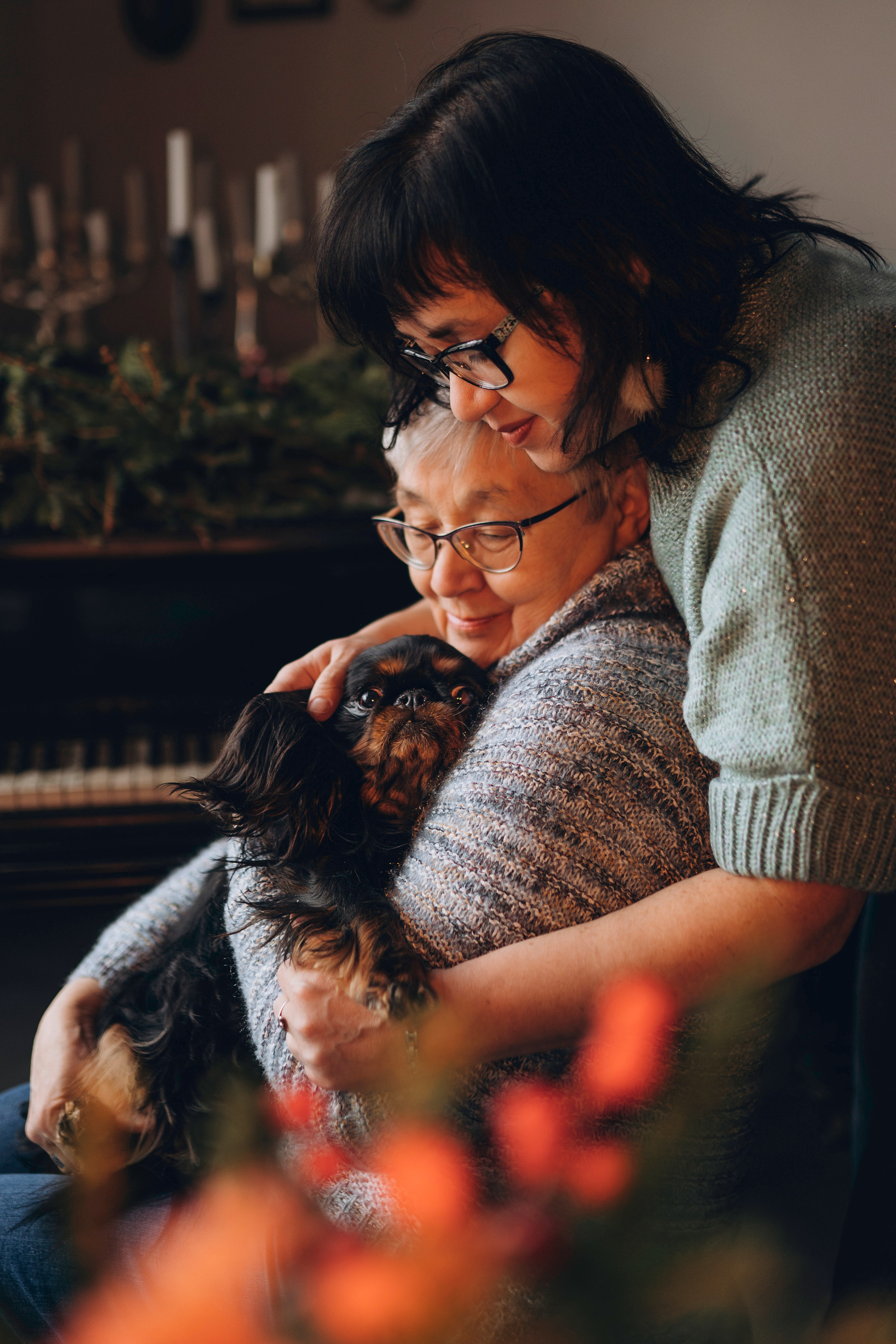 Ариша и её семья. Фотограф анималист в Спб недорого Олеся Майорова