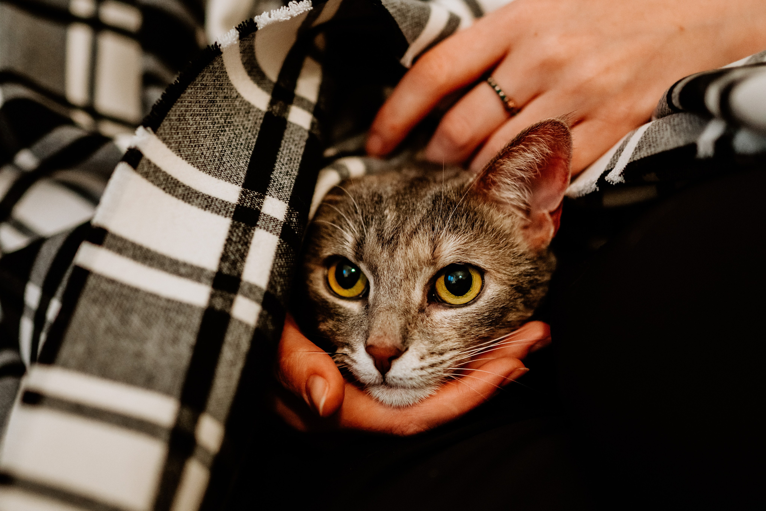 Натали и Иззи. Фотограф анималист в Спб недорого Олеся Майорова