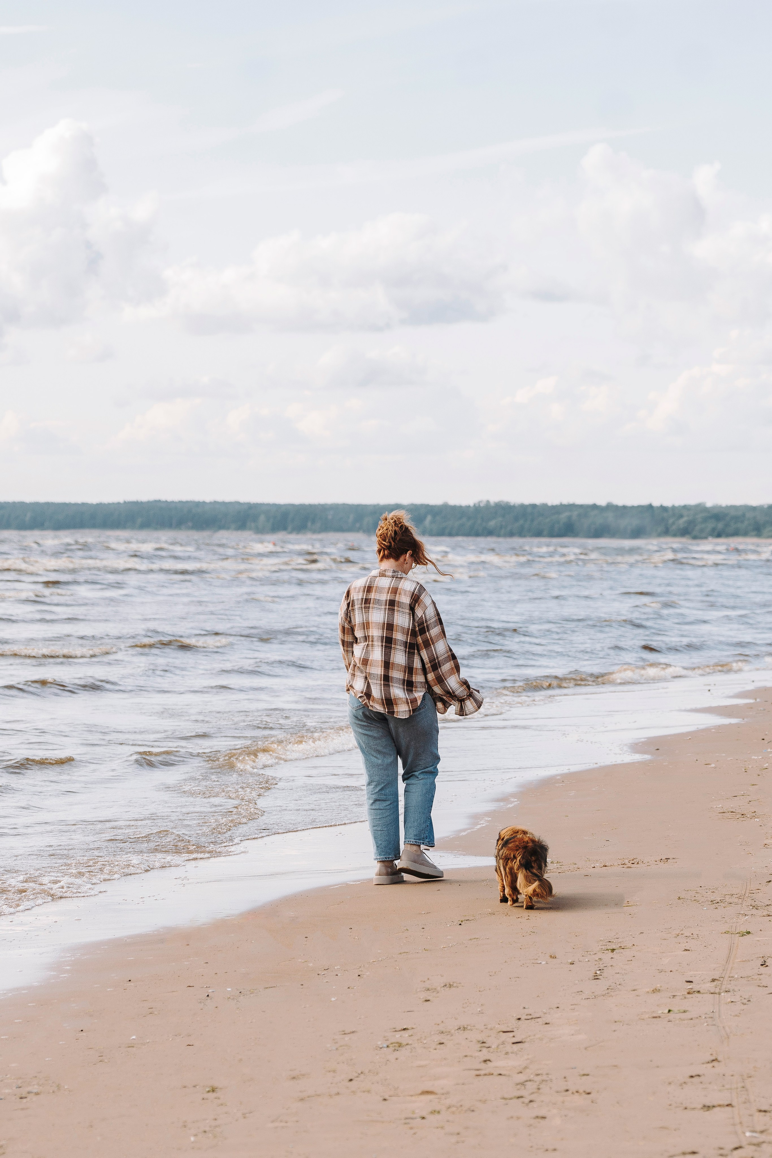 Фотосессия с длиношерстной таксой на пляжн. Фотограф анималист в Спб недорого Олеся Майорова