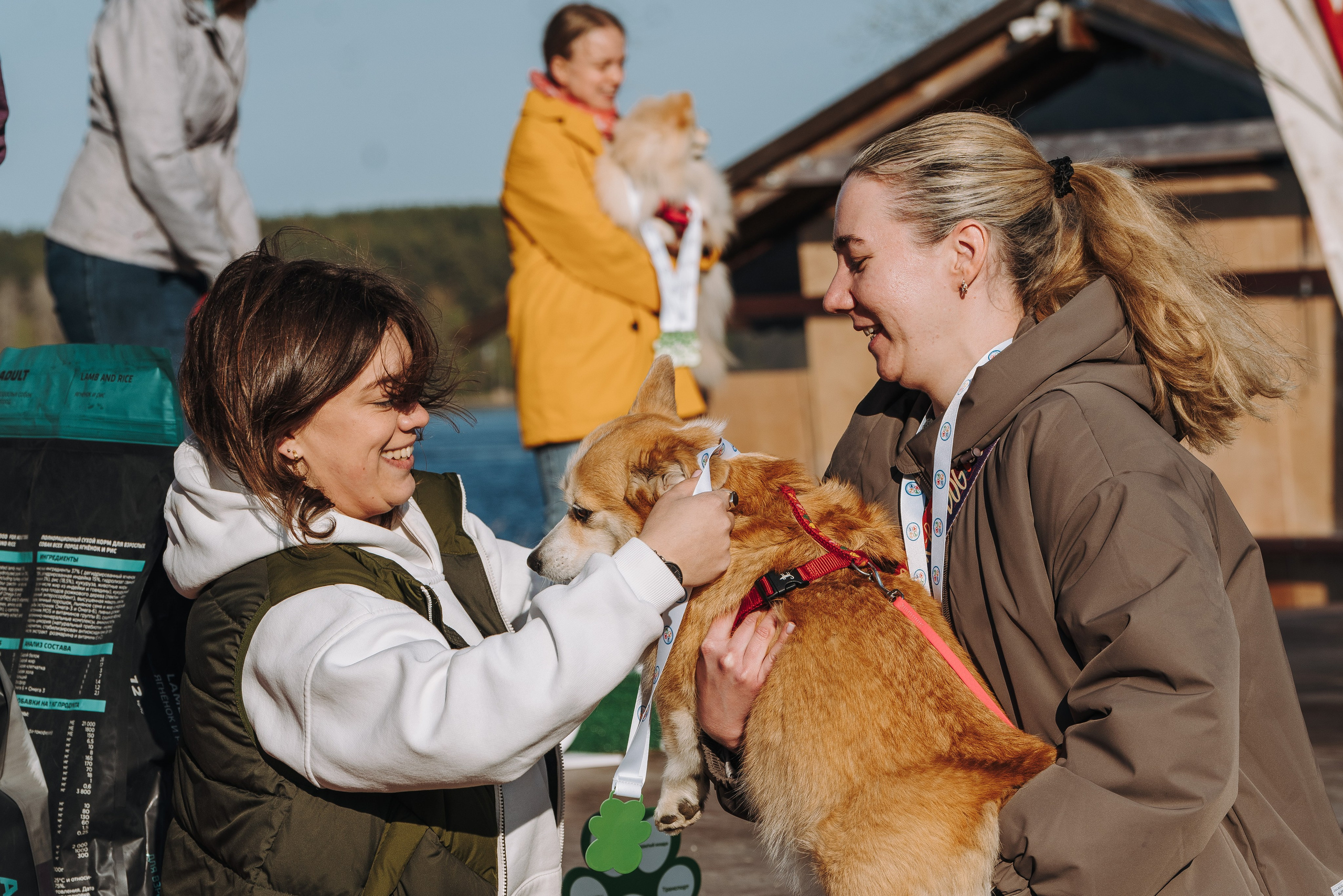 Соревнования по ноузворку в Лосево. Фотограф анималист в Спб недорого Олеся Майорова