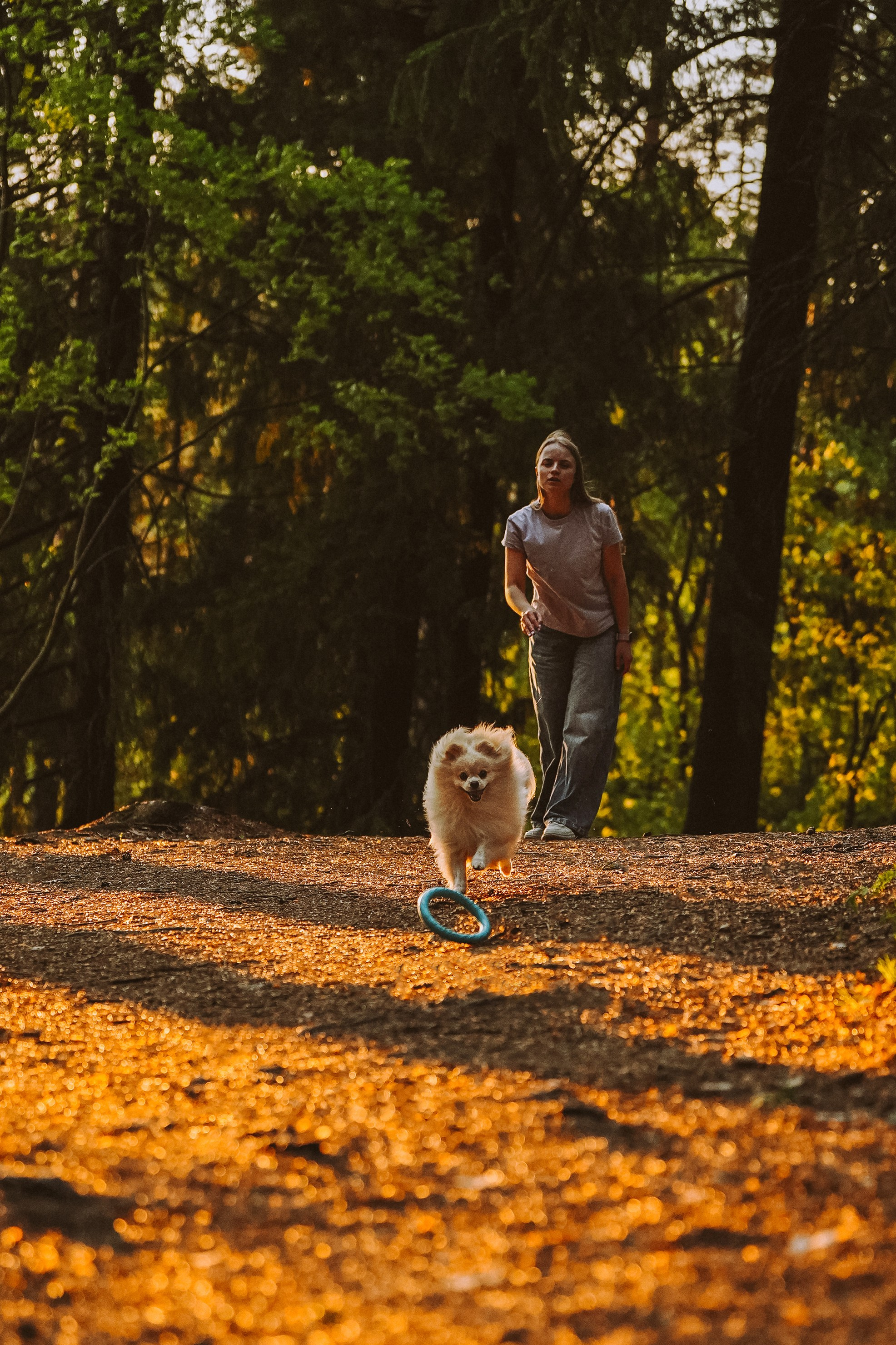 Фотосессия с собачкой в лесу. Фотограф анималист в Спб недорого Олеся Майорова