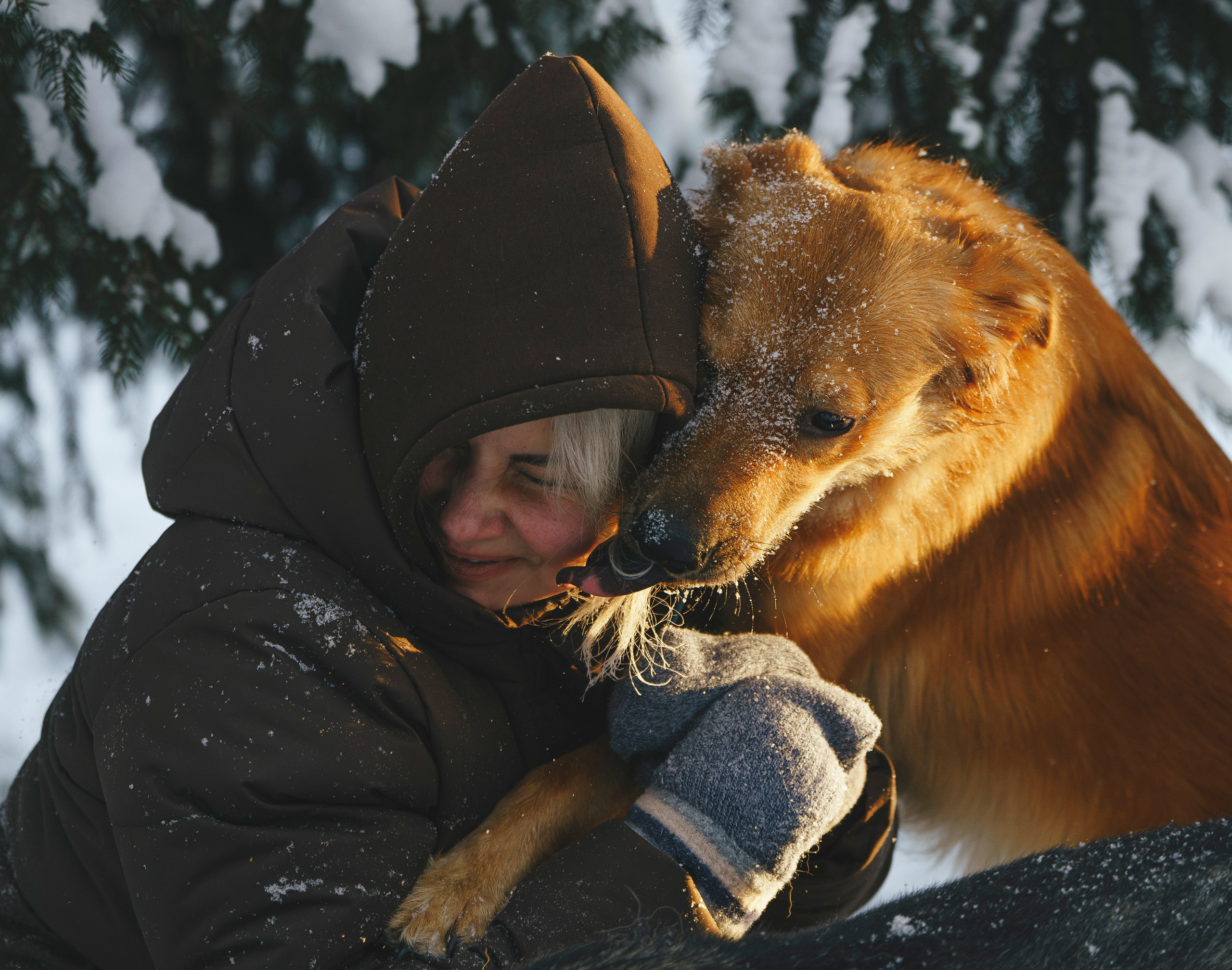 Рэй, Кузя, Ольга и Александр. Фотограф анималист в Спб недорого Олеся Майорова