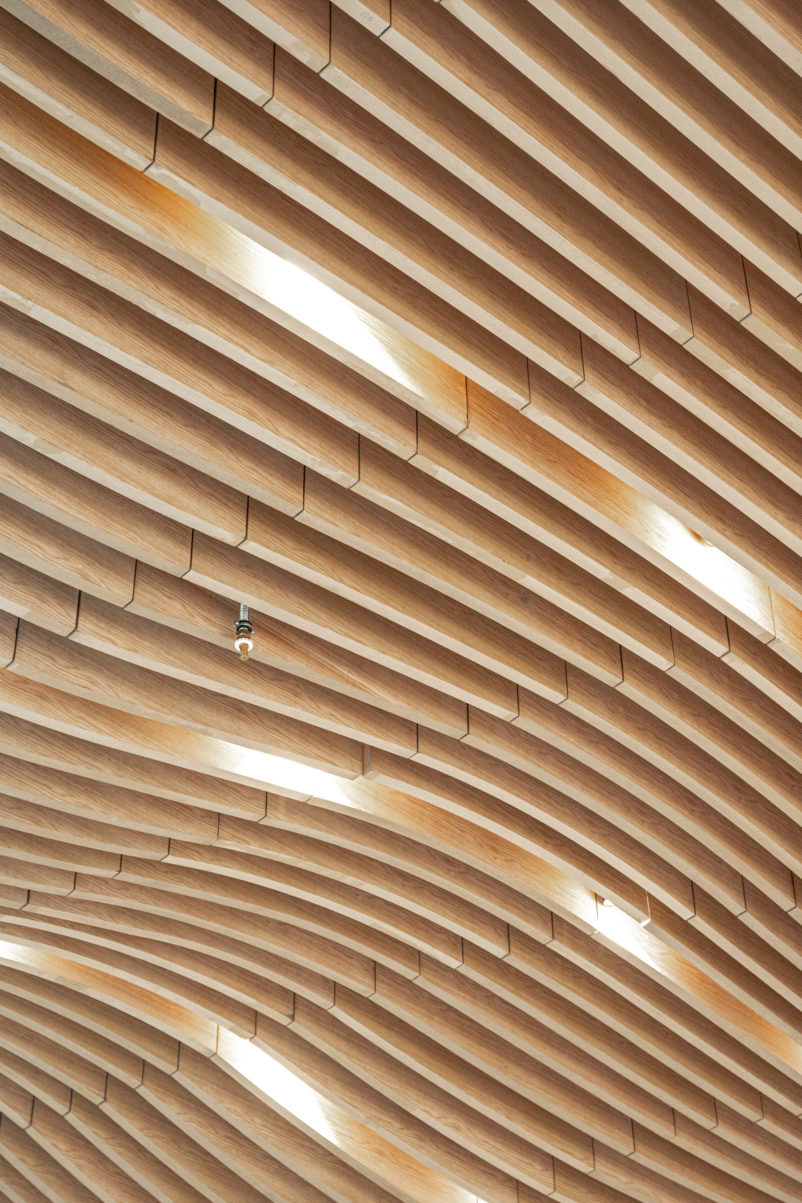 Разное неважное. Фотограф в Москве Алейникова Евгения