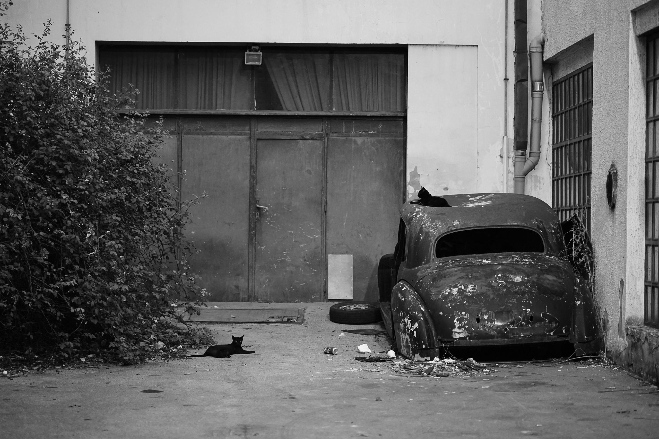 Меня снимаешь?. Oleg Kozachok — Photographer with Protanopia | Portraits, Texture & Light