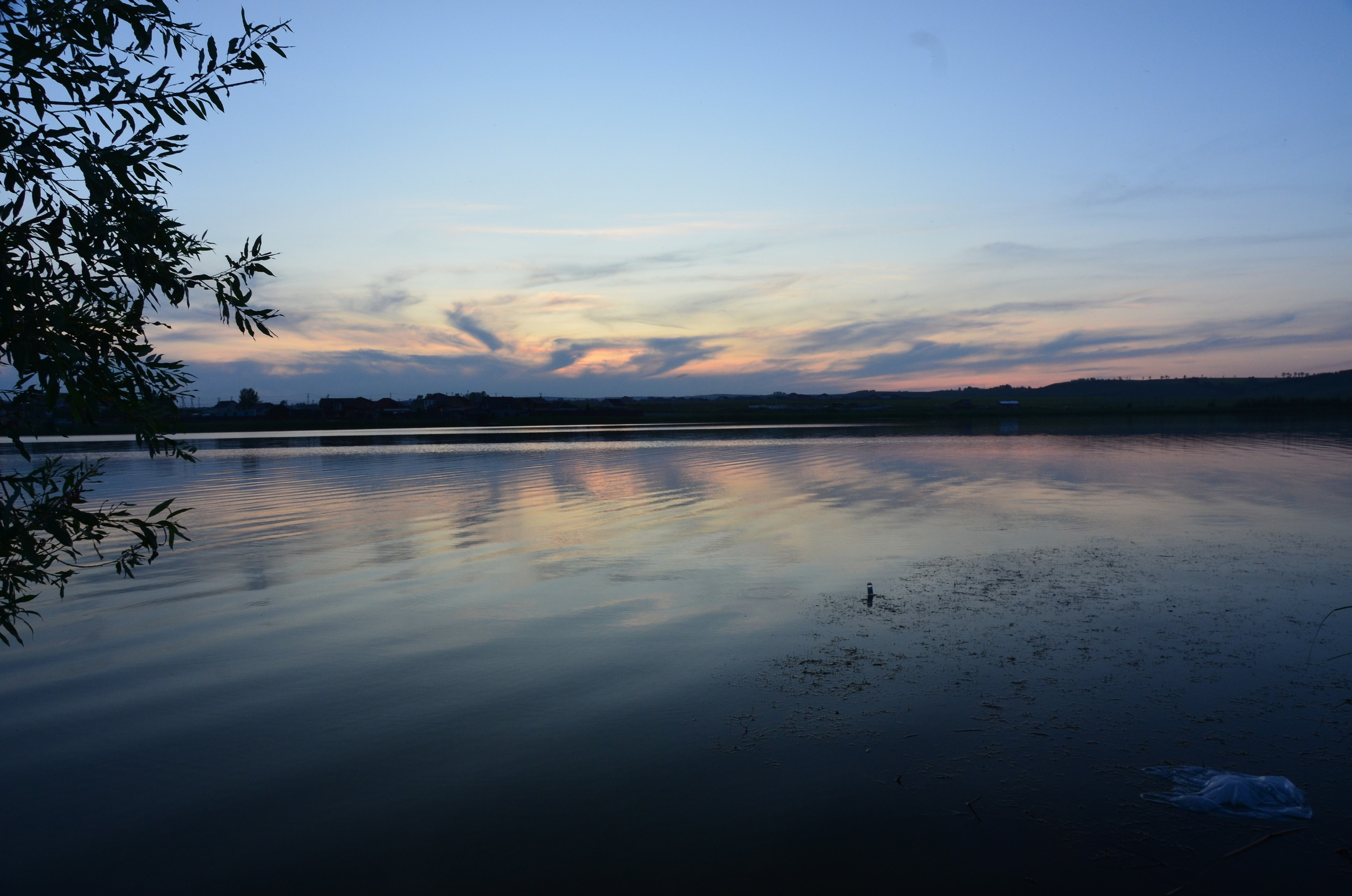 Дары природы. Фотограф viktor viktor