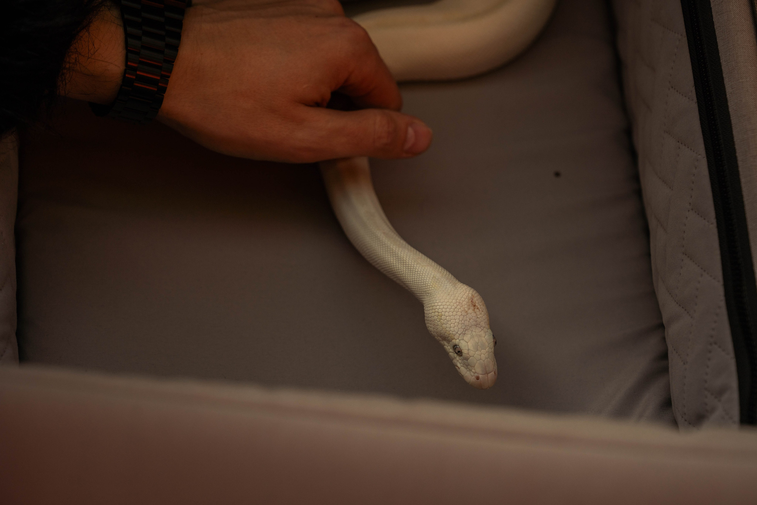 За кадром Medium Quality — шоу «Boost Up». Beardy Pix