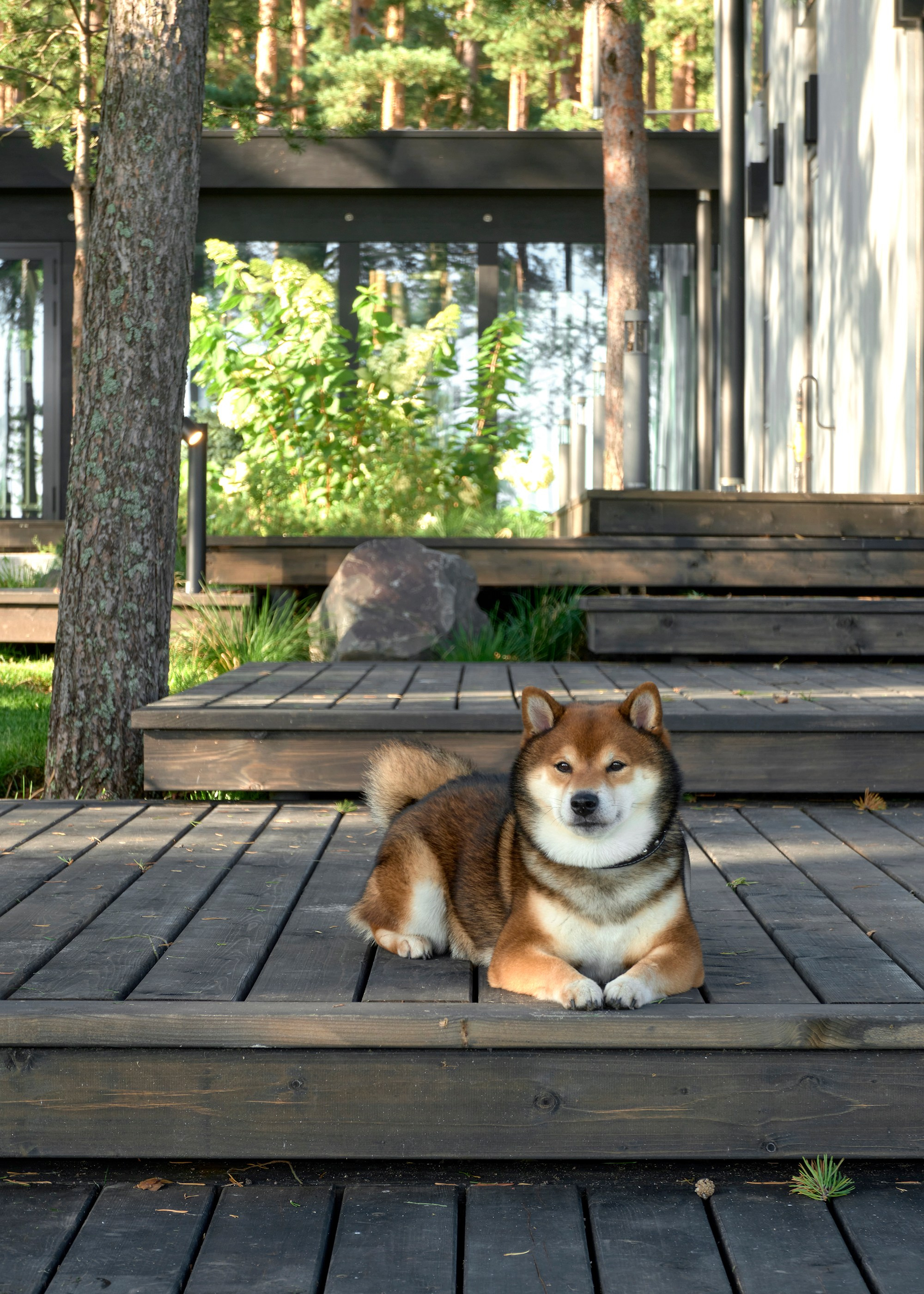 Ландшафтный и интерьерный фотограф Наталья Соловьева. Фотосъемка сада в КП Золотые пески для ландшафтной компании Хвоя | interioto