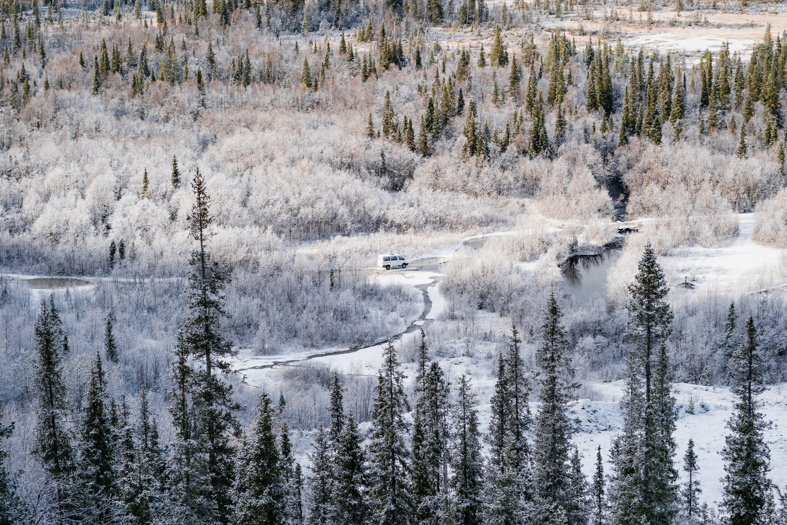 СТРИТ И ПРИРОДА. Репортажный фотограф Наталья Лапцевич