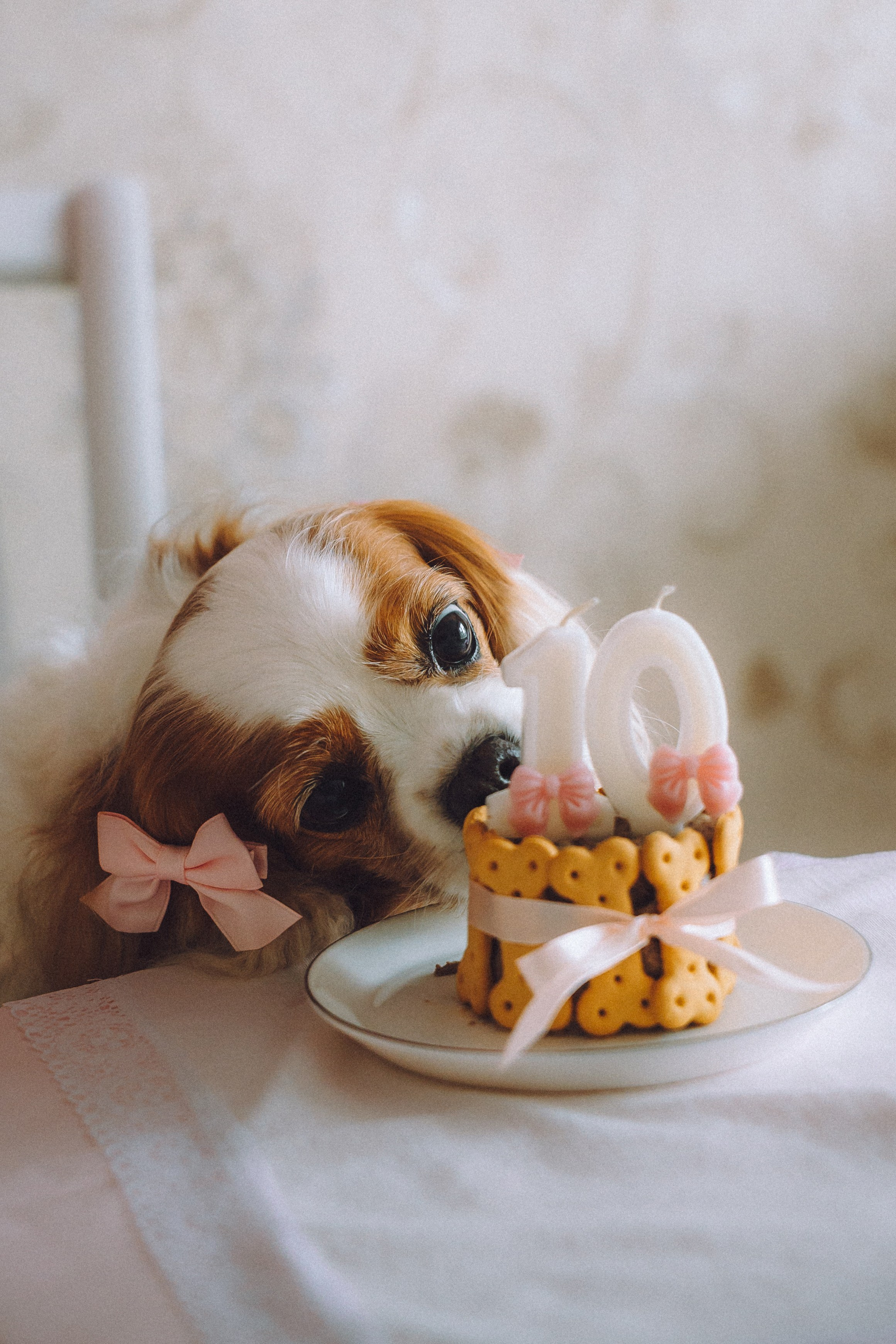 Наташа и Вики