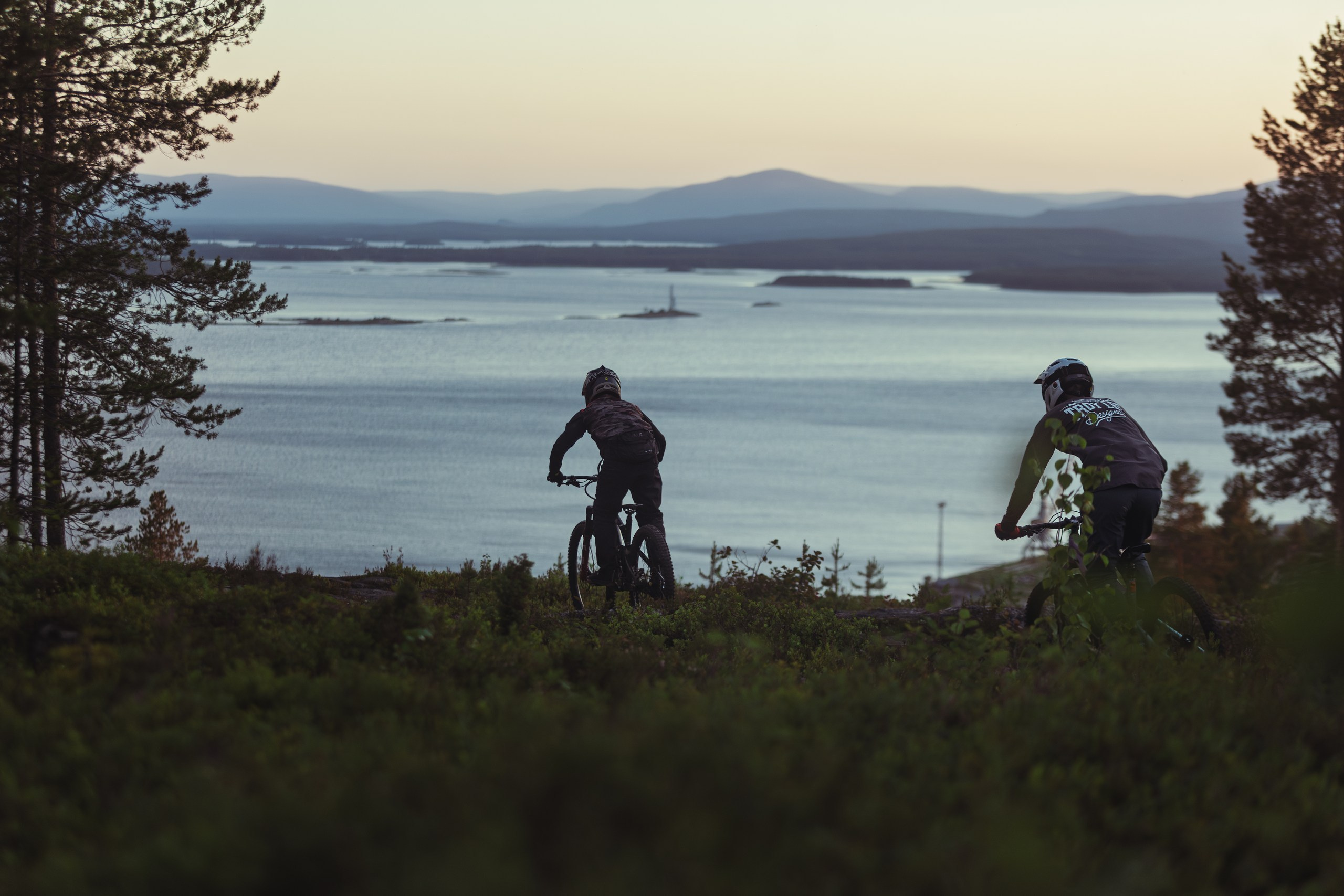 Кандалакшка. Фотограф анималист Никита Натальный
