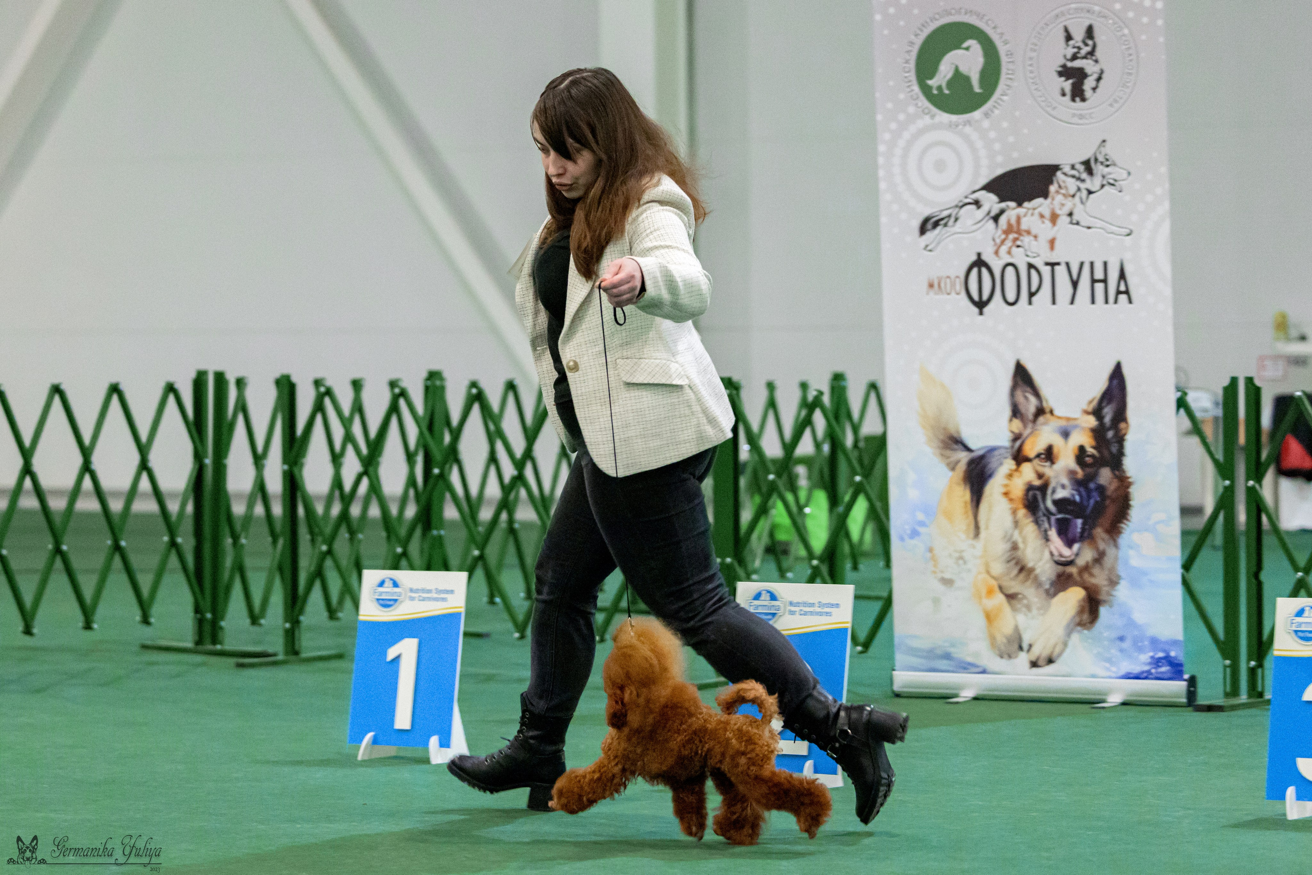 Крокус 3,9 и 10.12.2023. Фотограф-анималист Юлия Германика