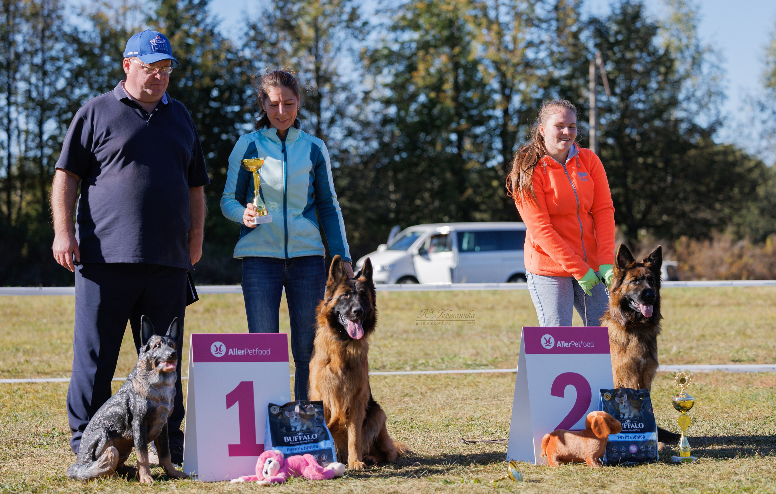 Тверь немецкие овчарки 22.09.2024. Фотограф-анималист Юлия Германика