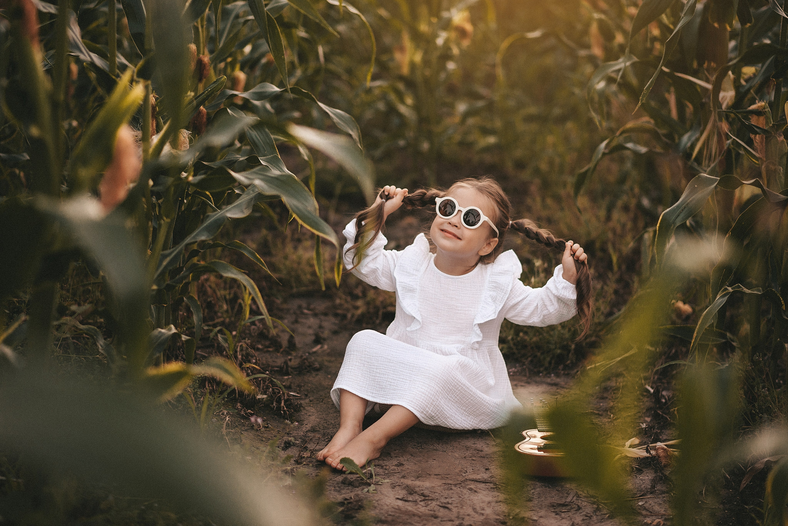 На солнце вдоль рядов кукурузы…. Ваш фотограф Ирина Гущанская
