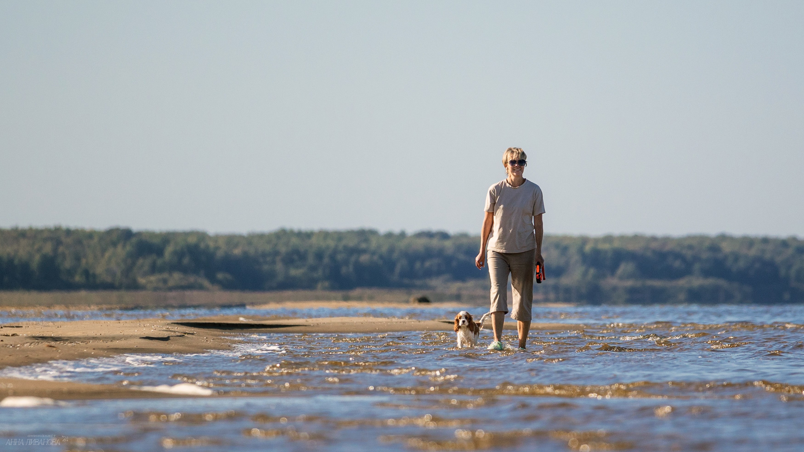 Татка. Фотограф анималист Аня Ливанова | Рыбинск