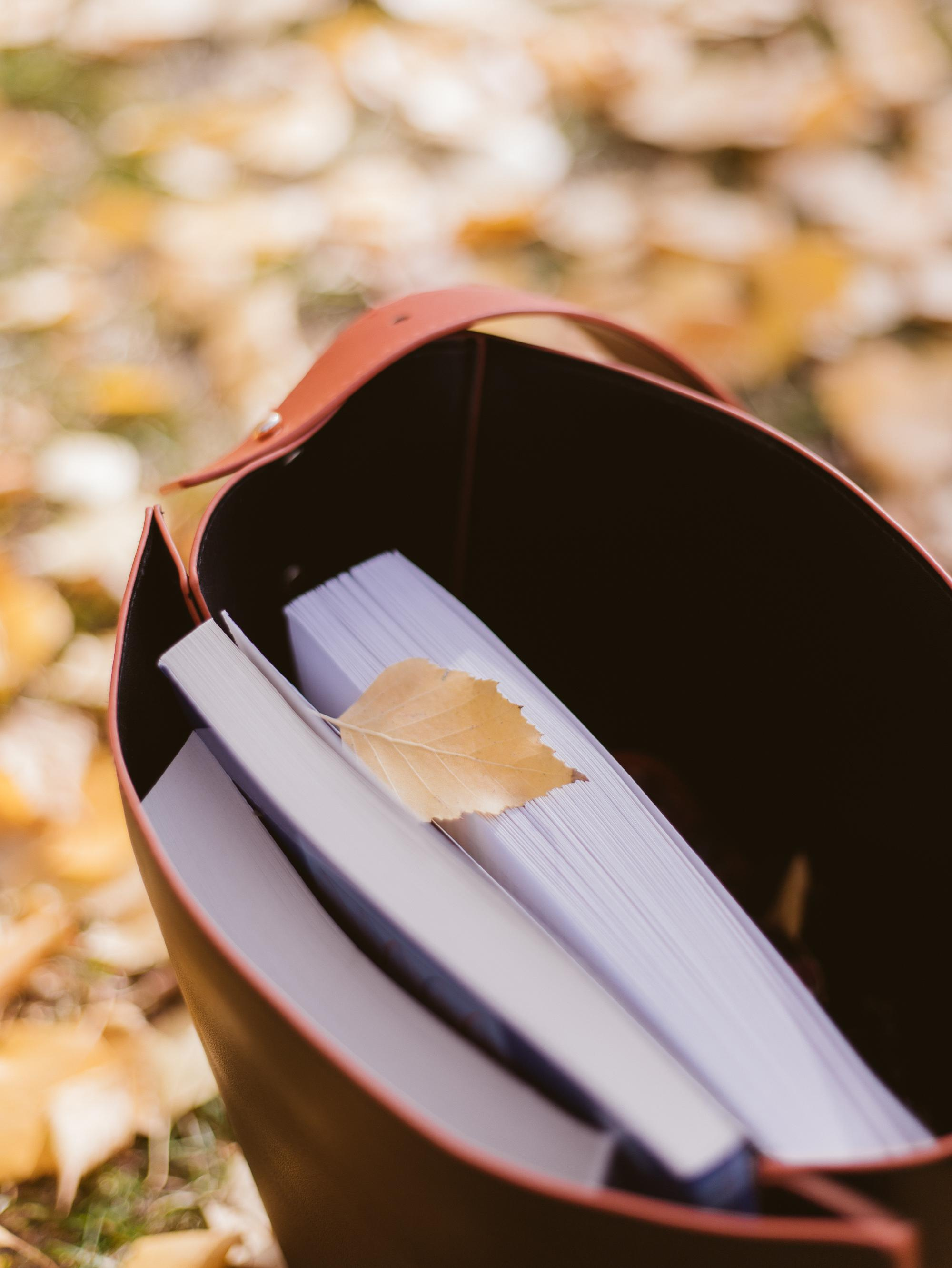 Наташа. Vasha sasha