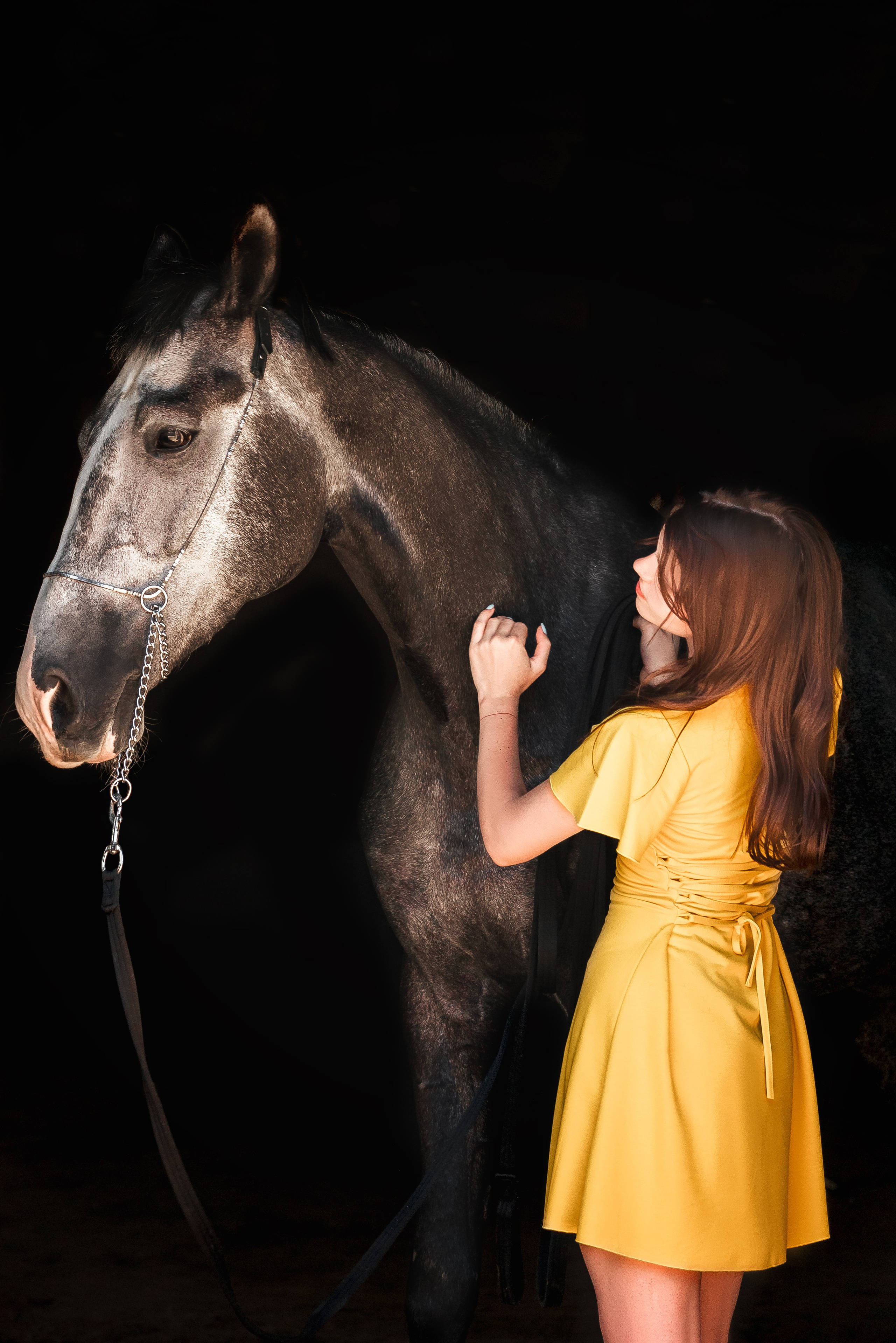 Волхов. Куракина Дарья • Конный фотограф