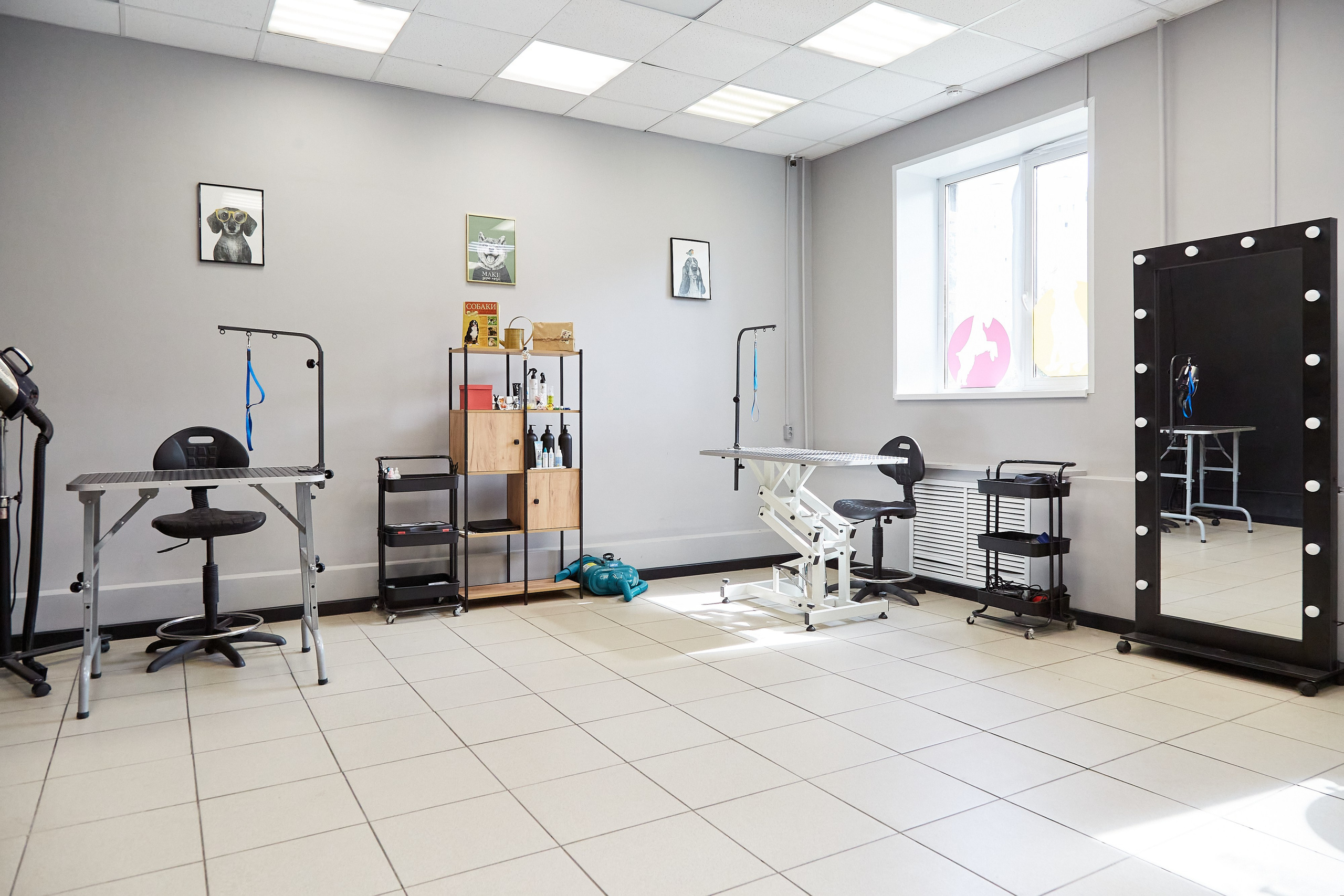 Зоопарикмахерская Avrora Groom. Фотограф Анастасия Леонтьева Санкт-Петербург