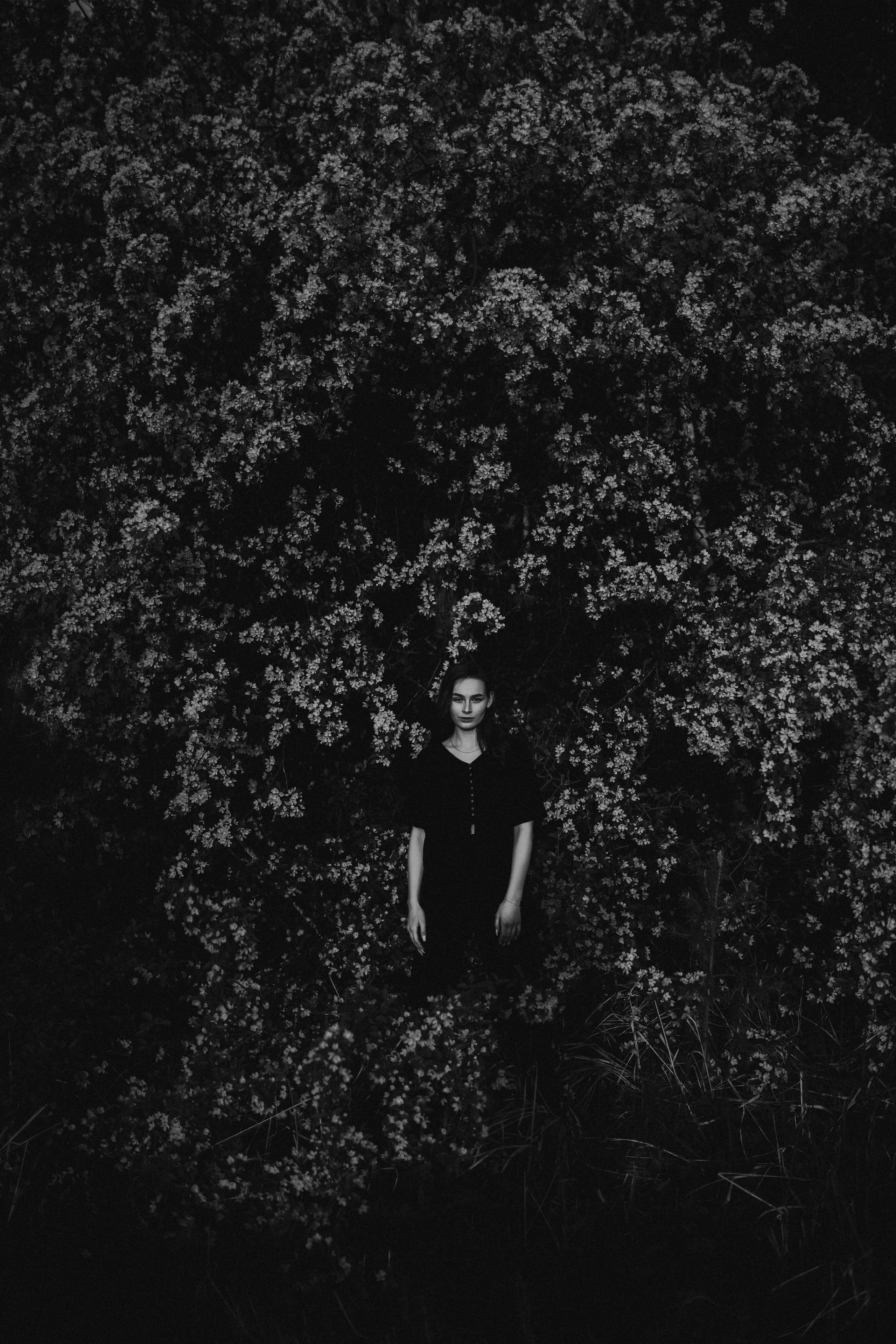 Первый рассвет