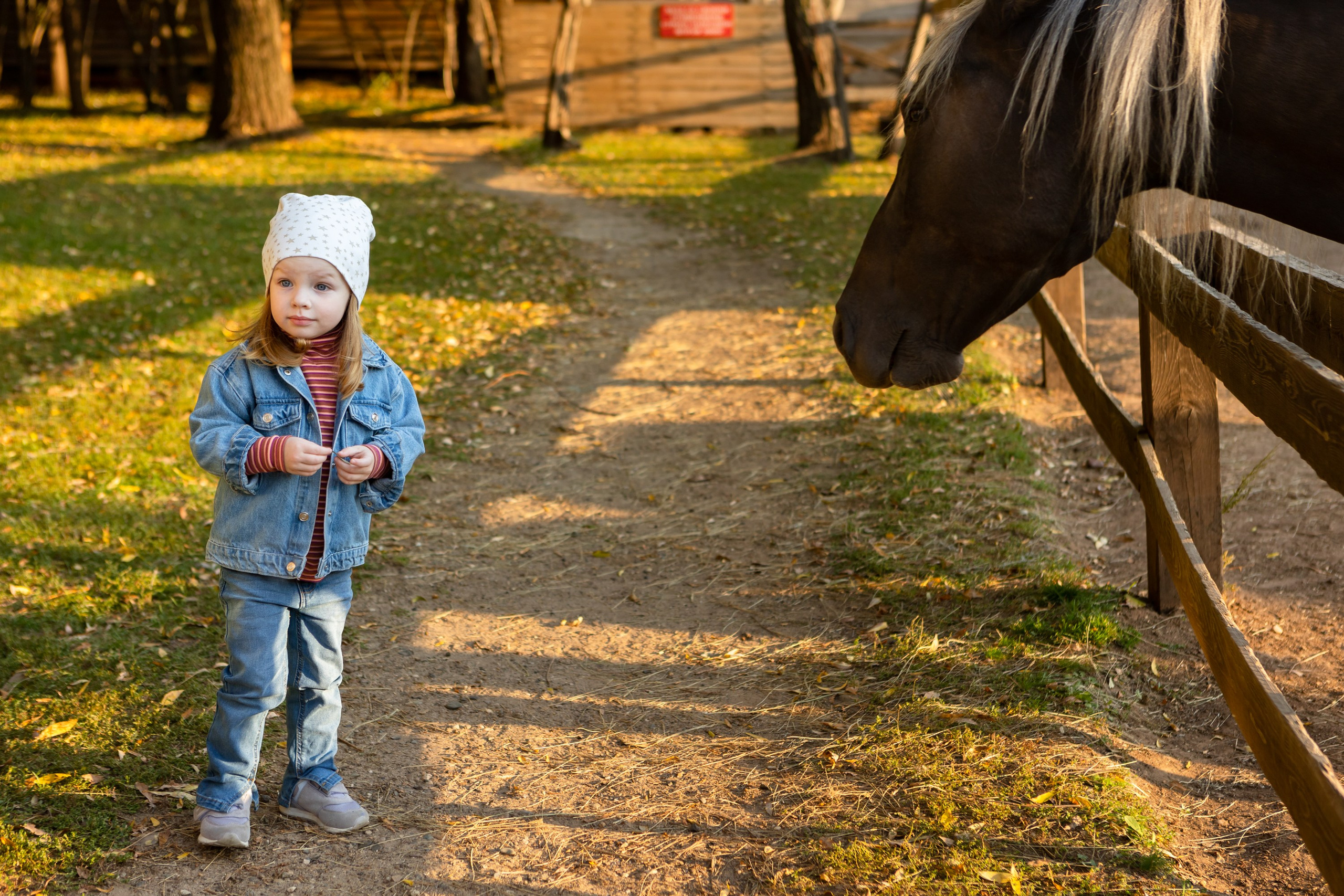 Фотосессия в конном клубе Воздух. Фотограф в Оренбурге. Профессиональный фотограф