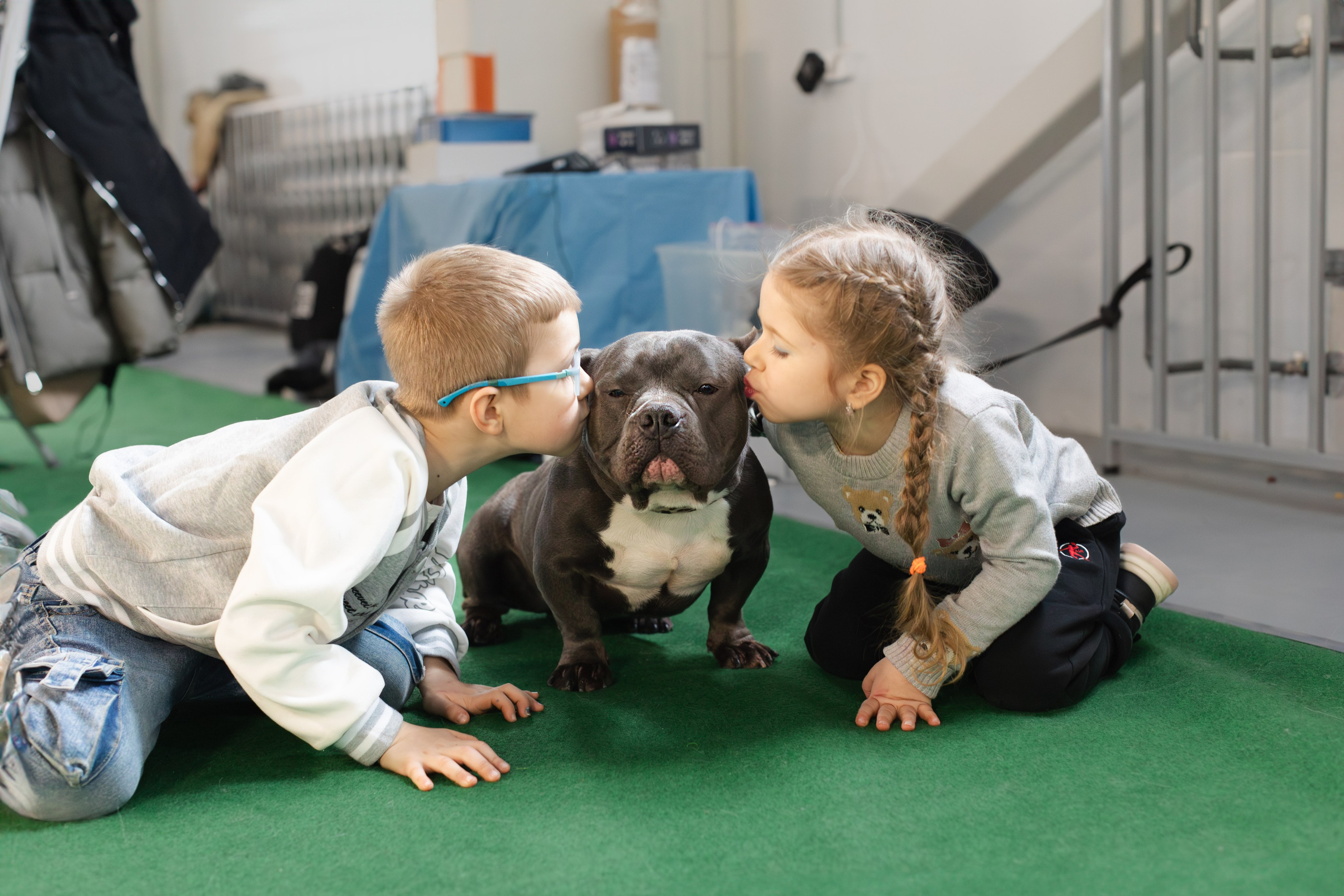 Выставки. Портретная и семейная съемка. Фотограф анималист