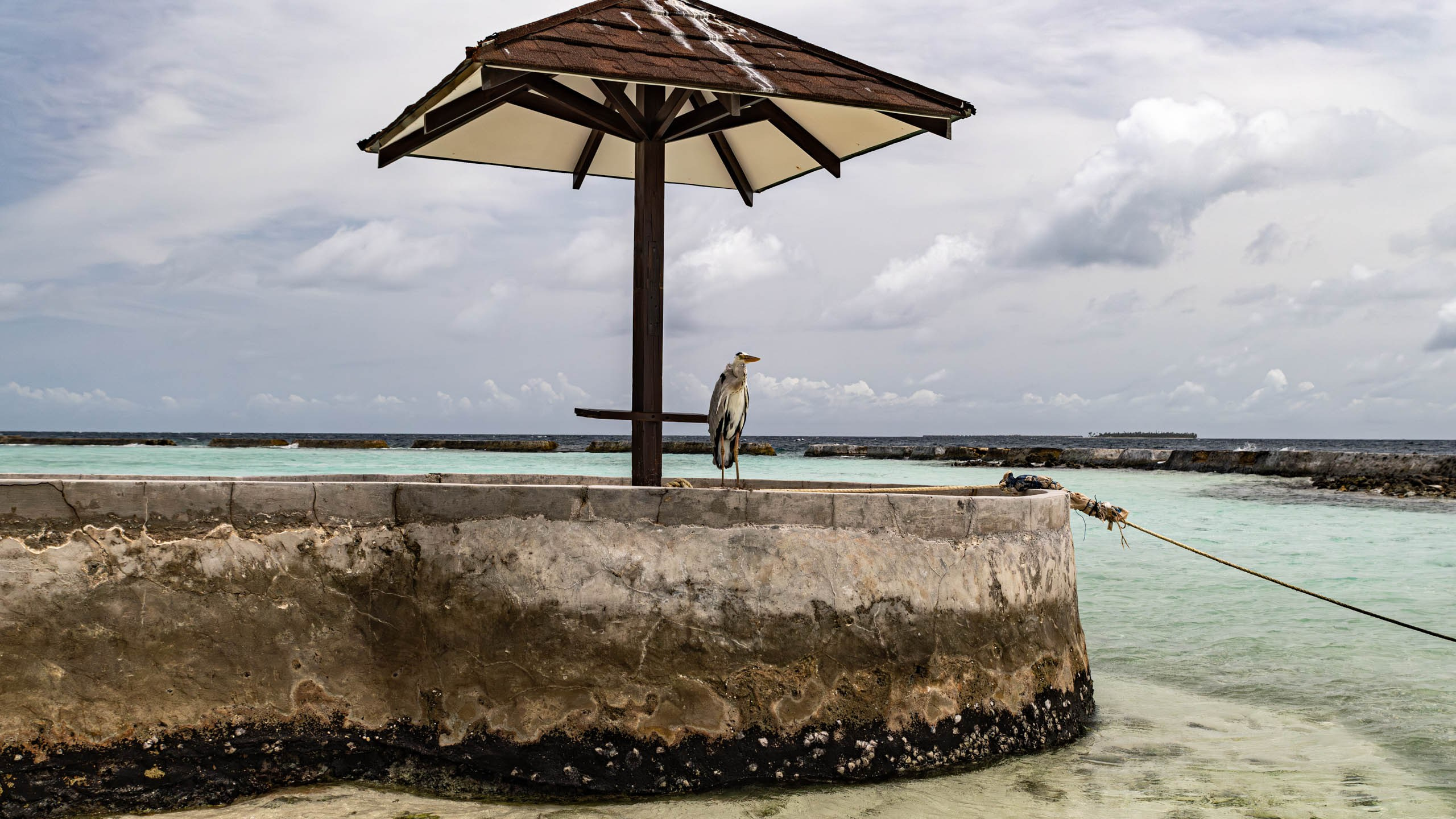 Мальдивы, Ellaidhoo Maldives by Cinnamon