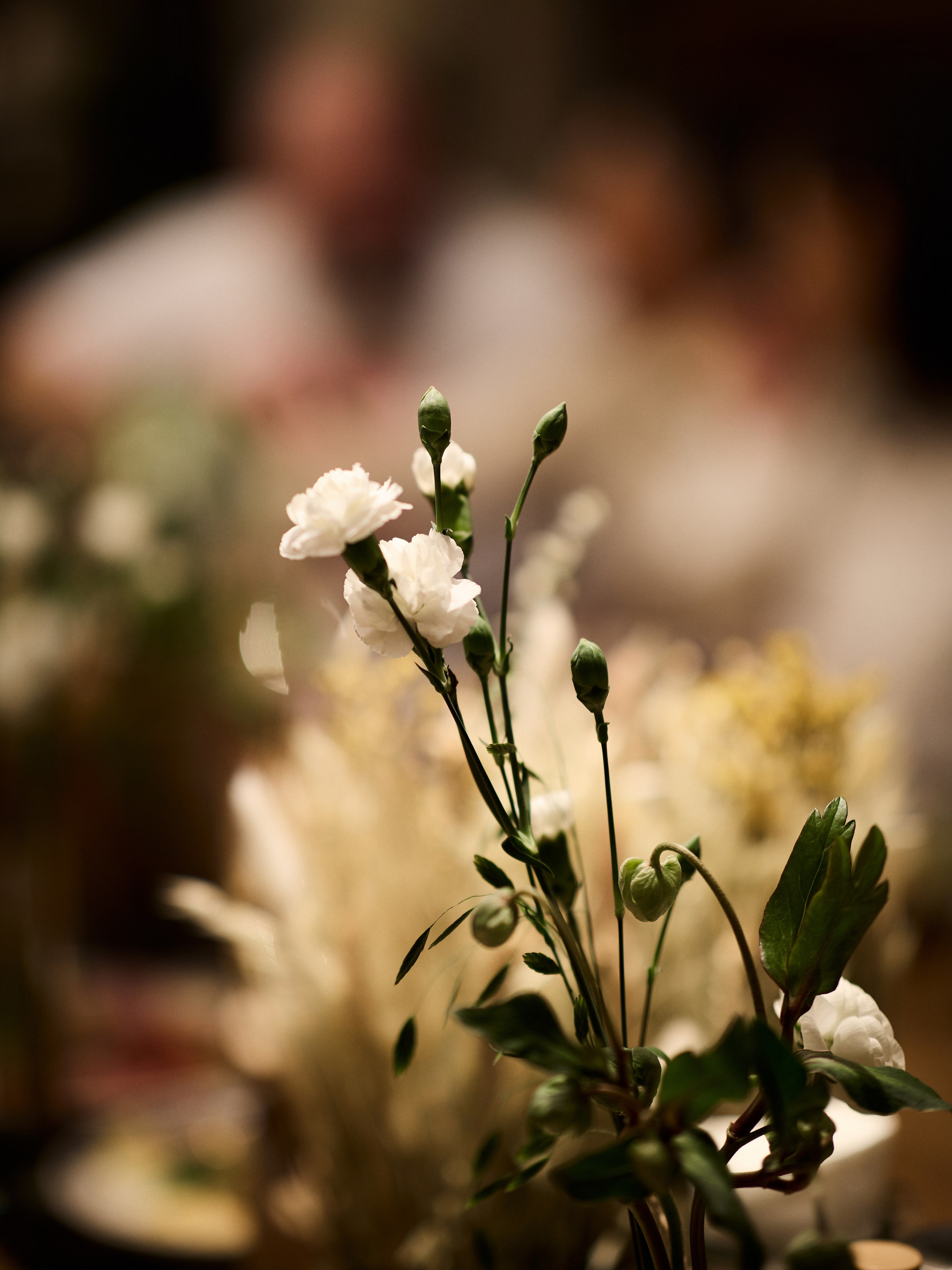 Свадебные кадры. Panshinavarvara