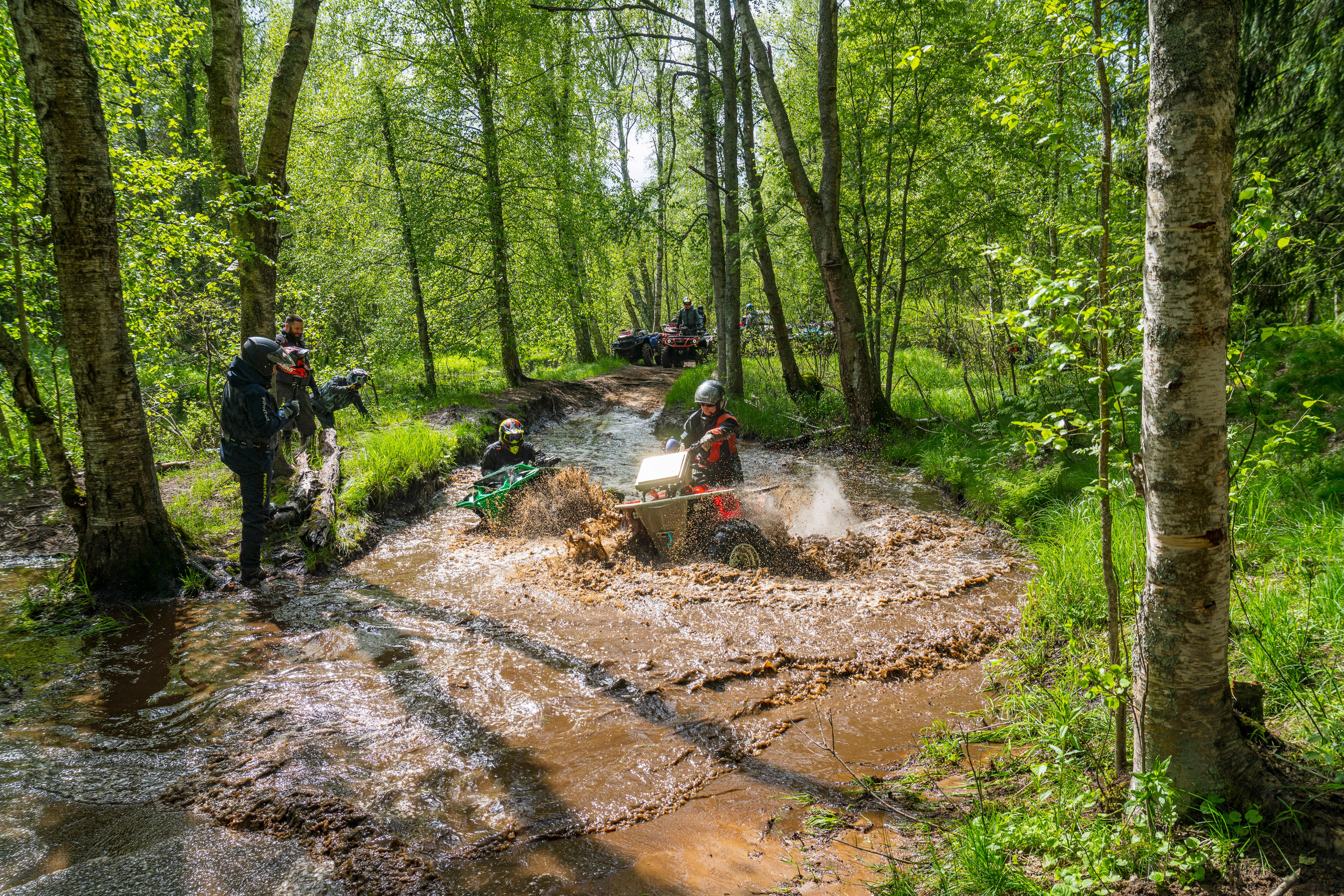 RazVolution. Графический дизайнер Илья Левченко