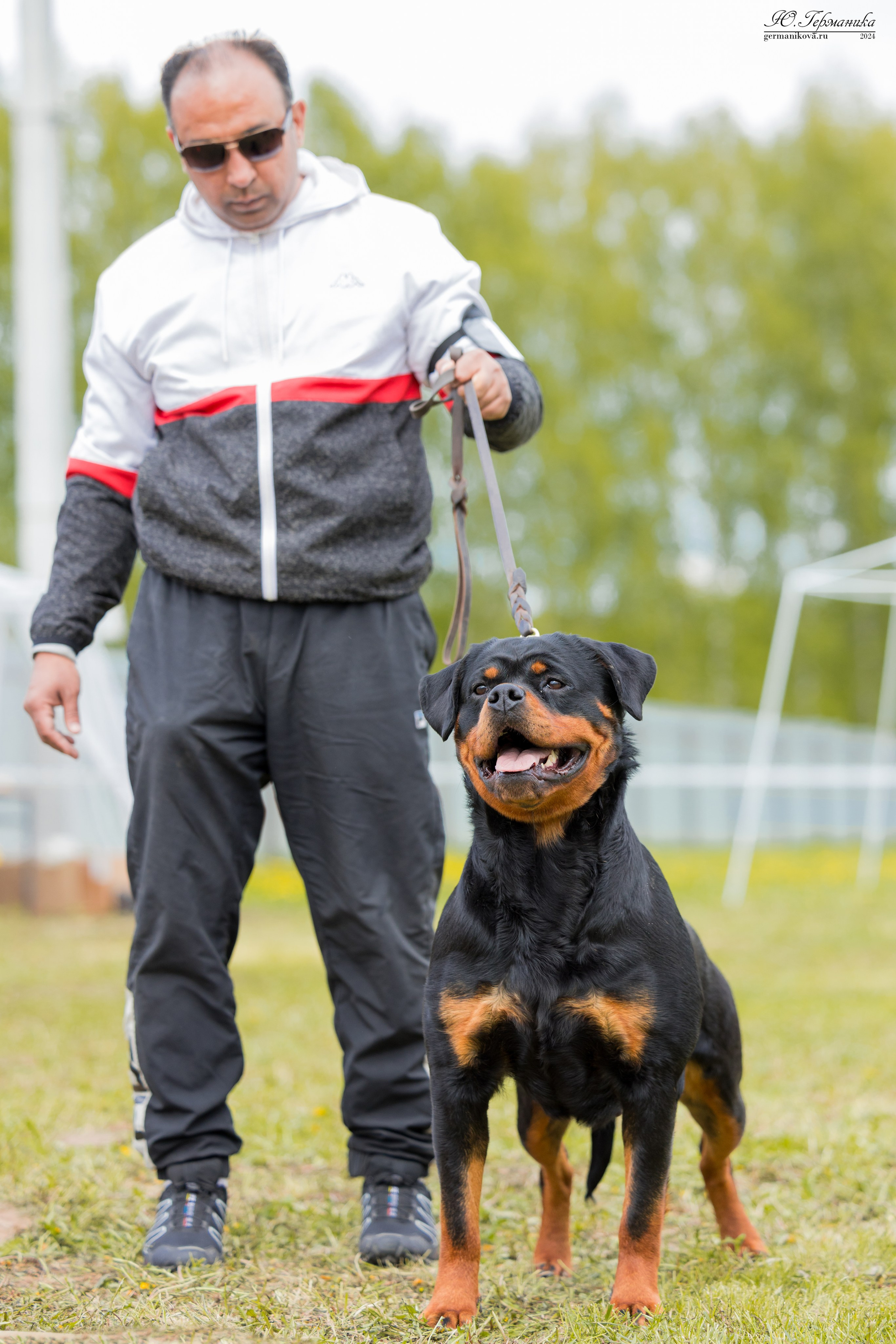 Нижний Новгород 11-12.05.2024 моно ротвейлеров. Фотограф-анималист Юлия Германика