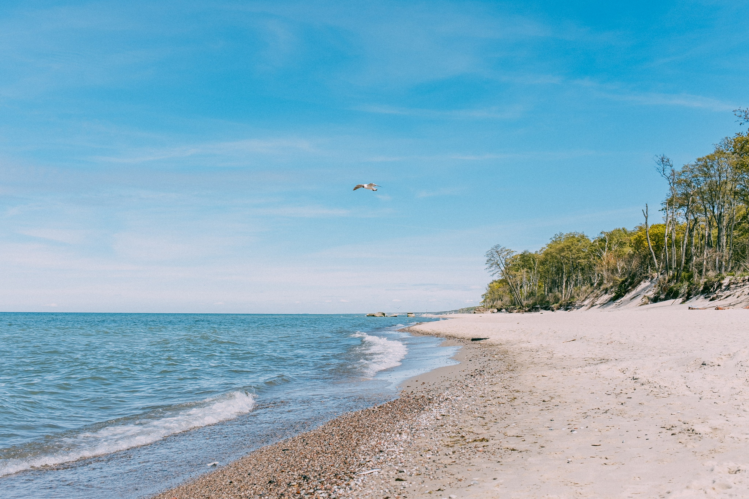 Зеленоградск. Аня Степанова