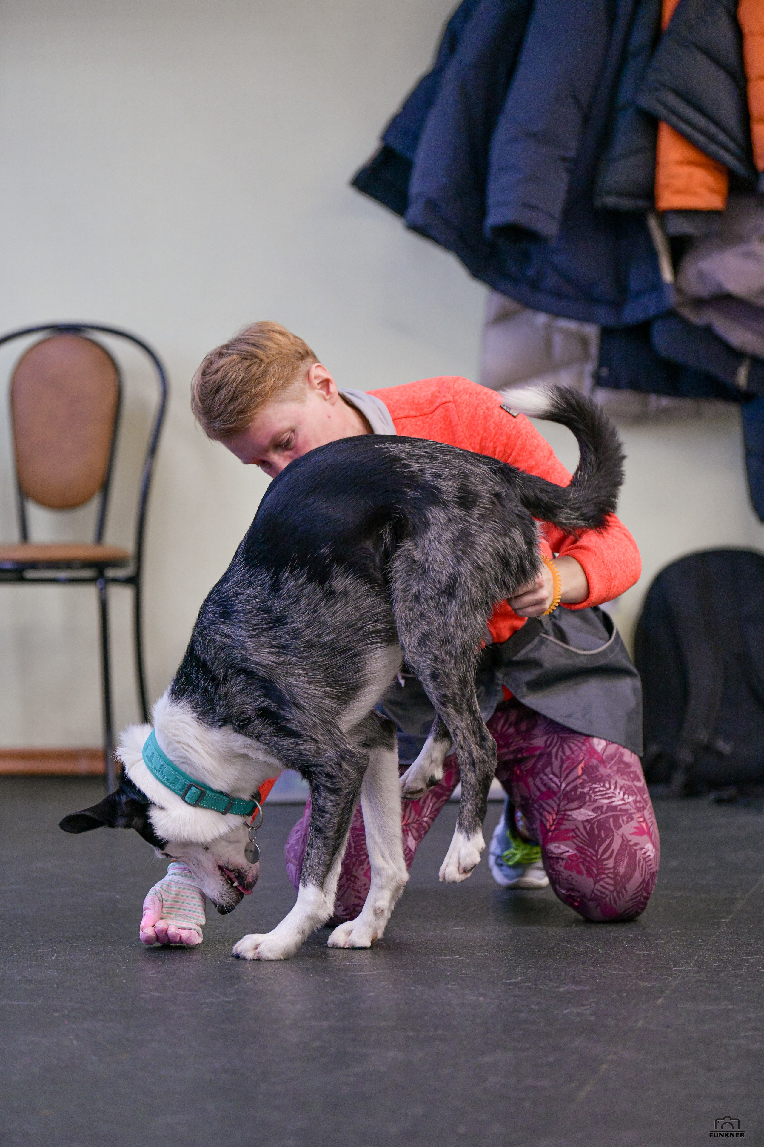 Кинологический клуб «Бодрый хвост». Свой взгляд через объектив