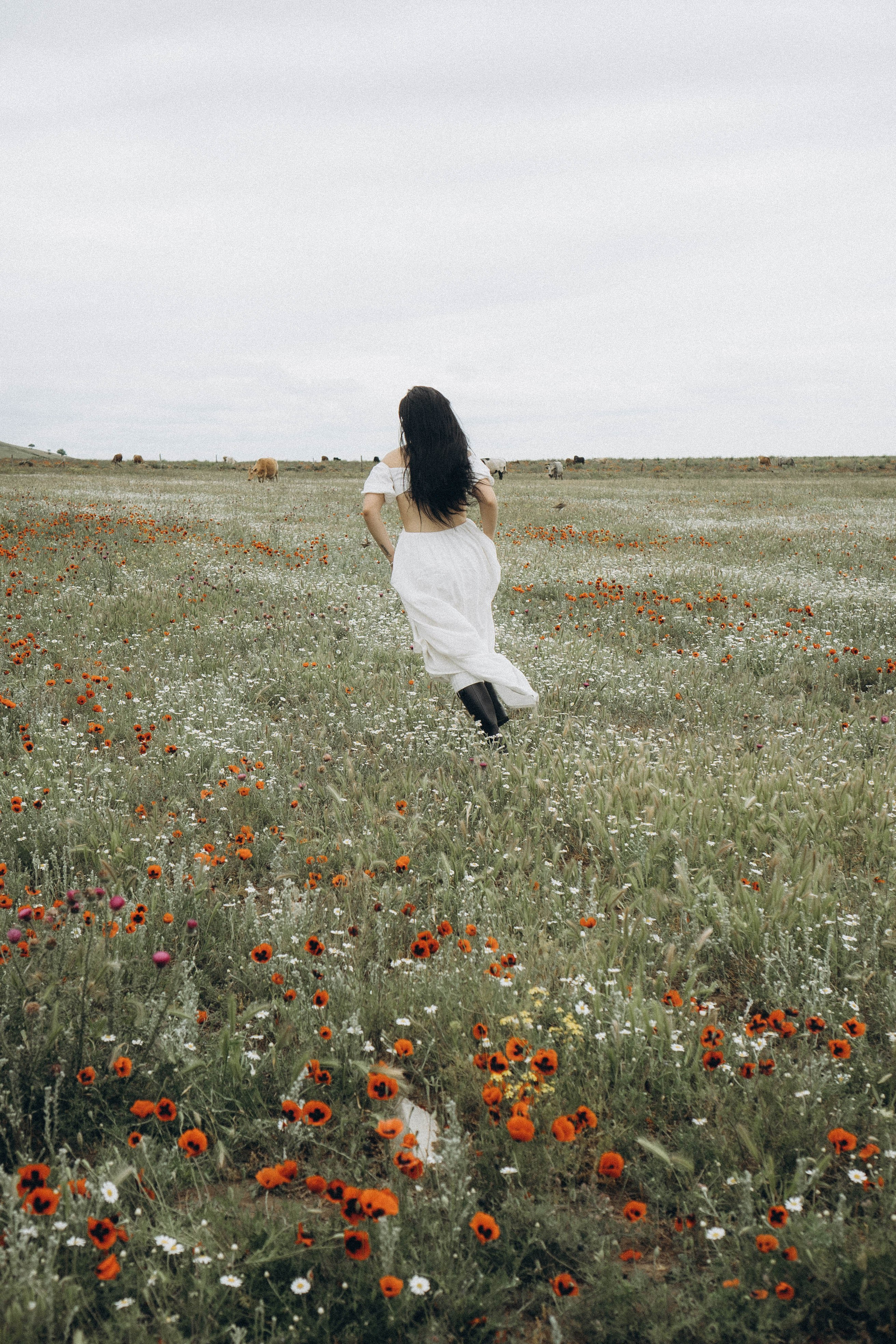 Маковое поле. Профессиональный фотограф, Санкт-Петербург — Виктория Богомолова