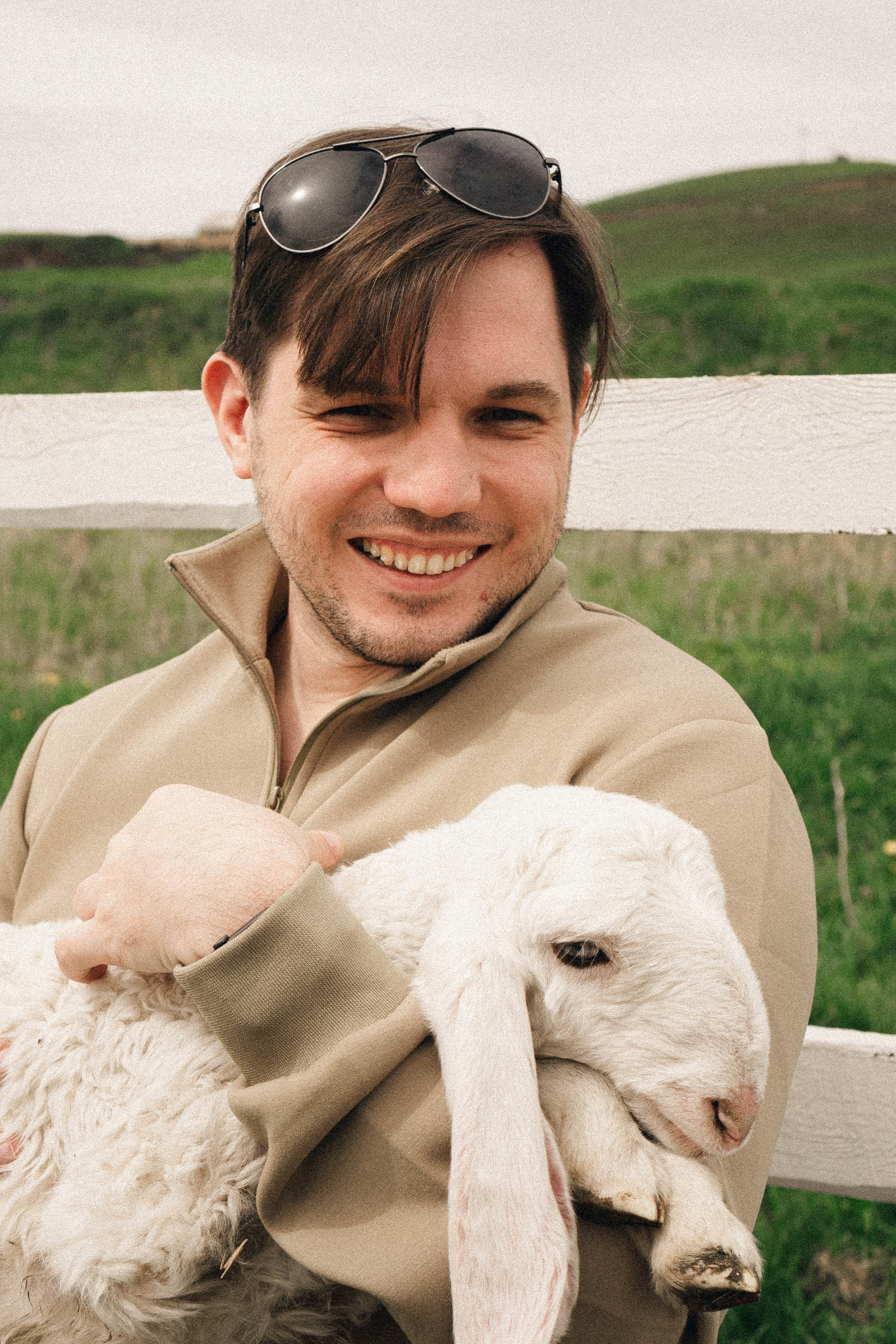 Ферма Альпак. Профессиональный фотограф, Санкт-Петербург — Виктория Богомолова