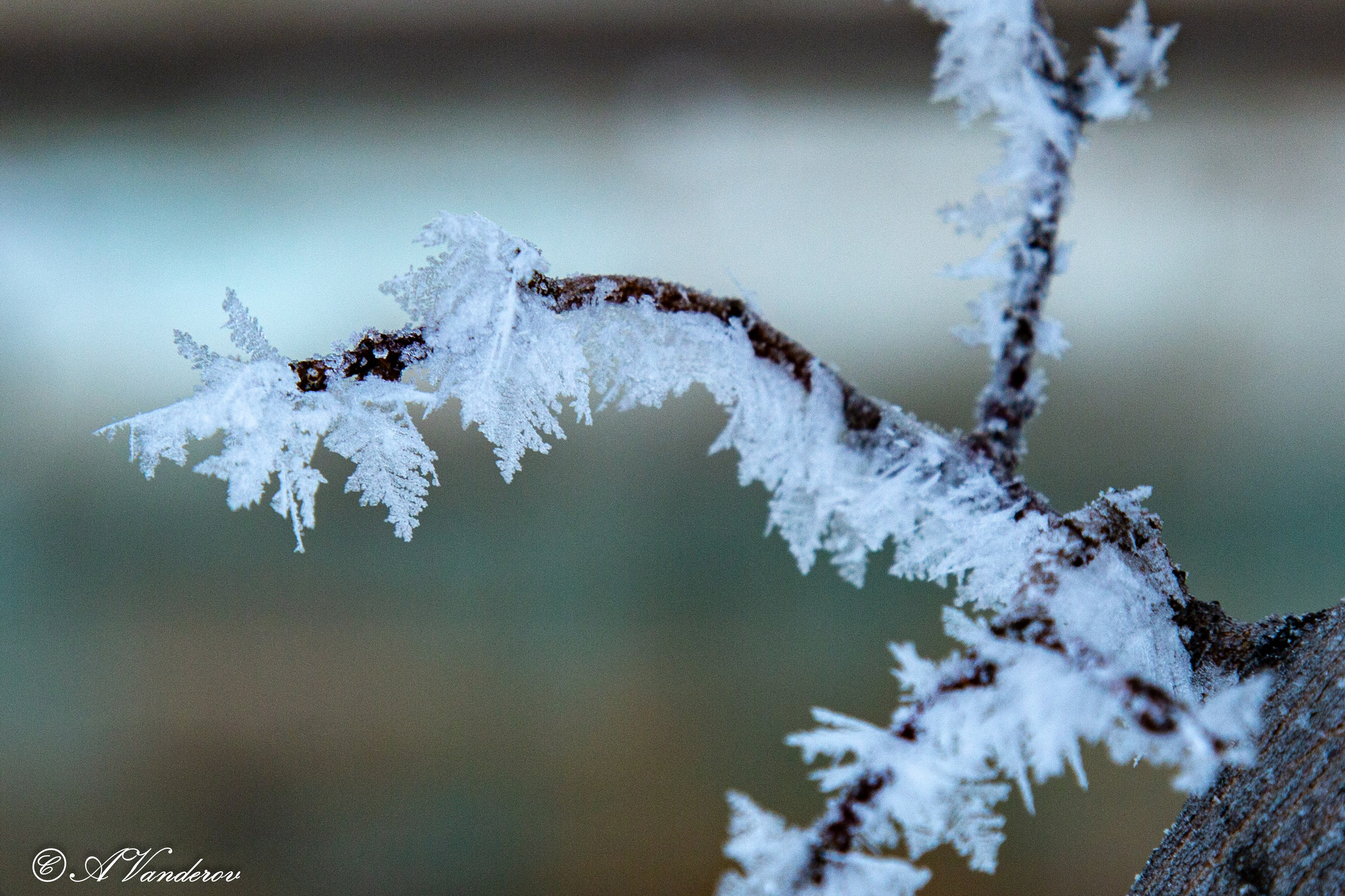 Красота природы. Фотограф Омск | Александр Вандеров