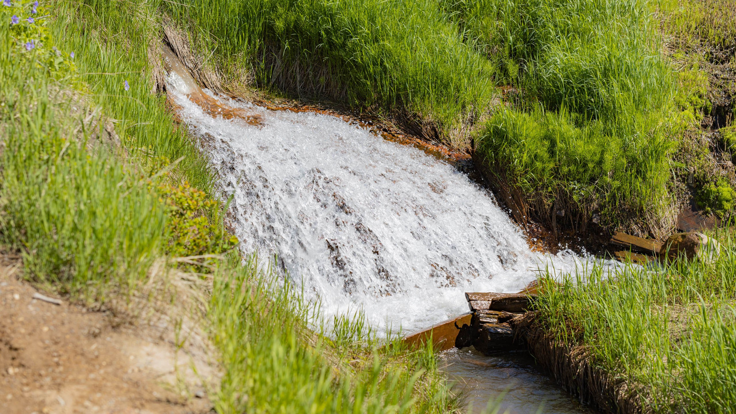 2023 07 Камчатка. Фотографии
