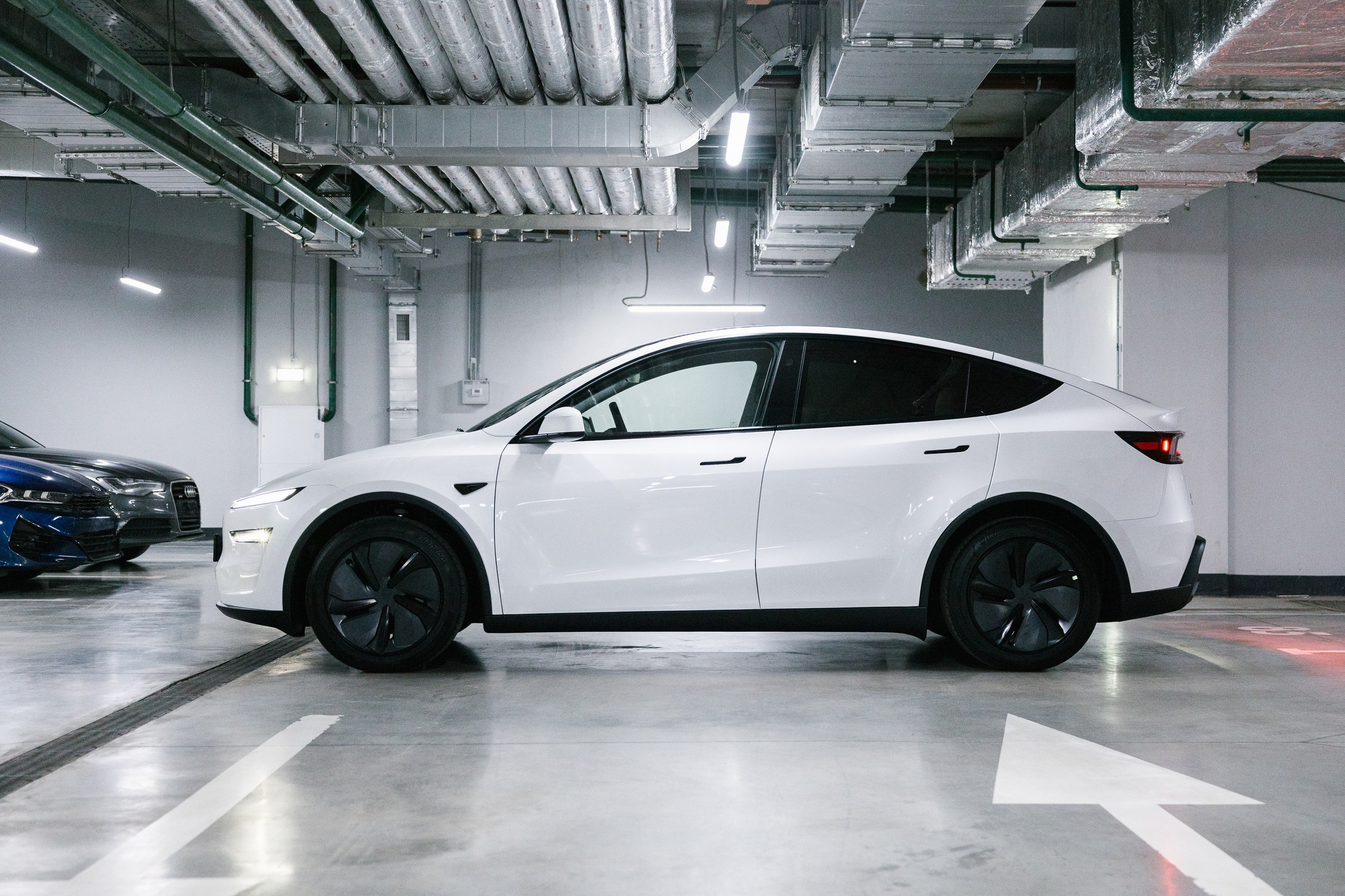 Model Y+. Эстетика Sveta