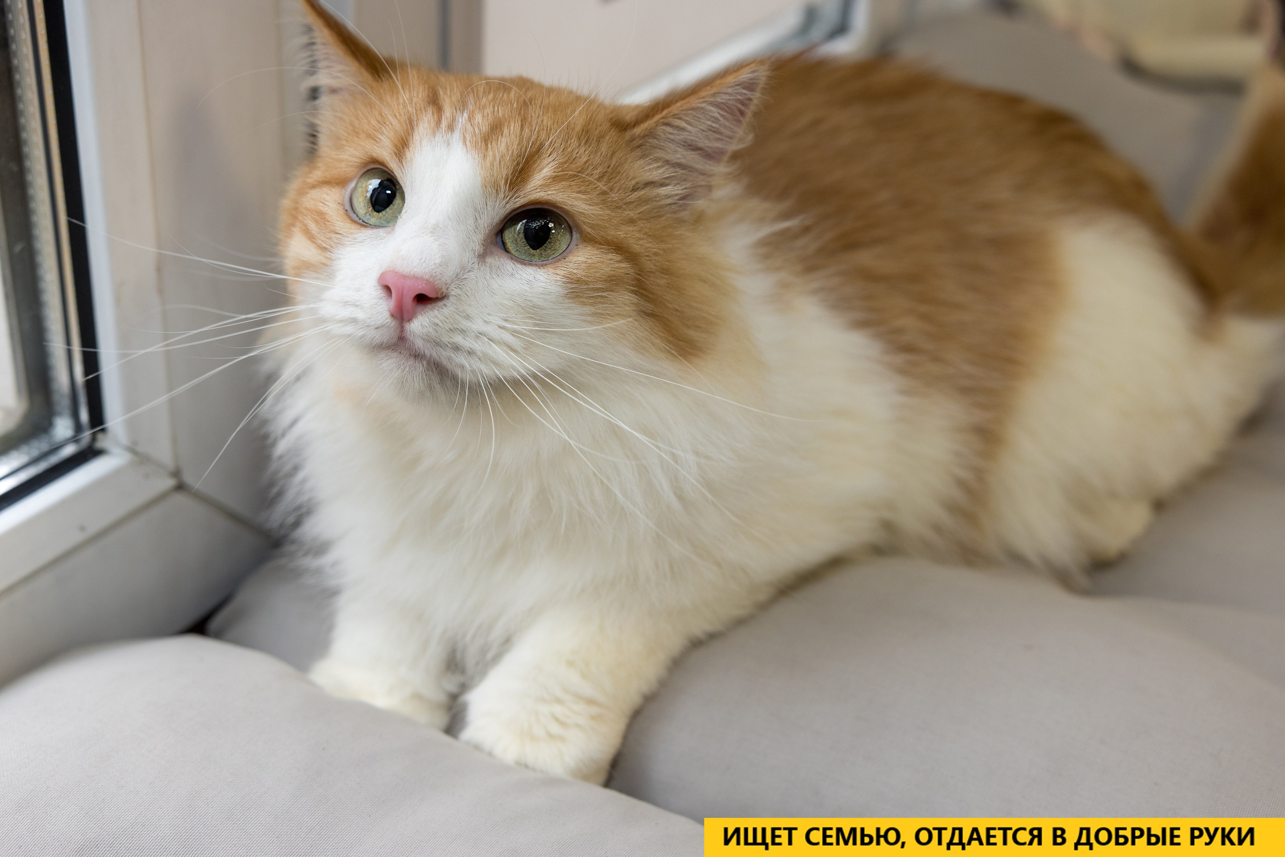 Рекламная съемка в Москве. Геннадий Степанов —фотограф в Москве