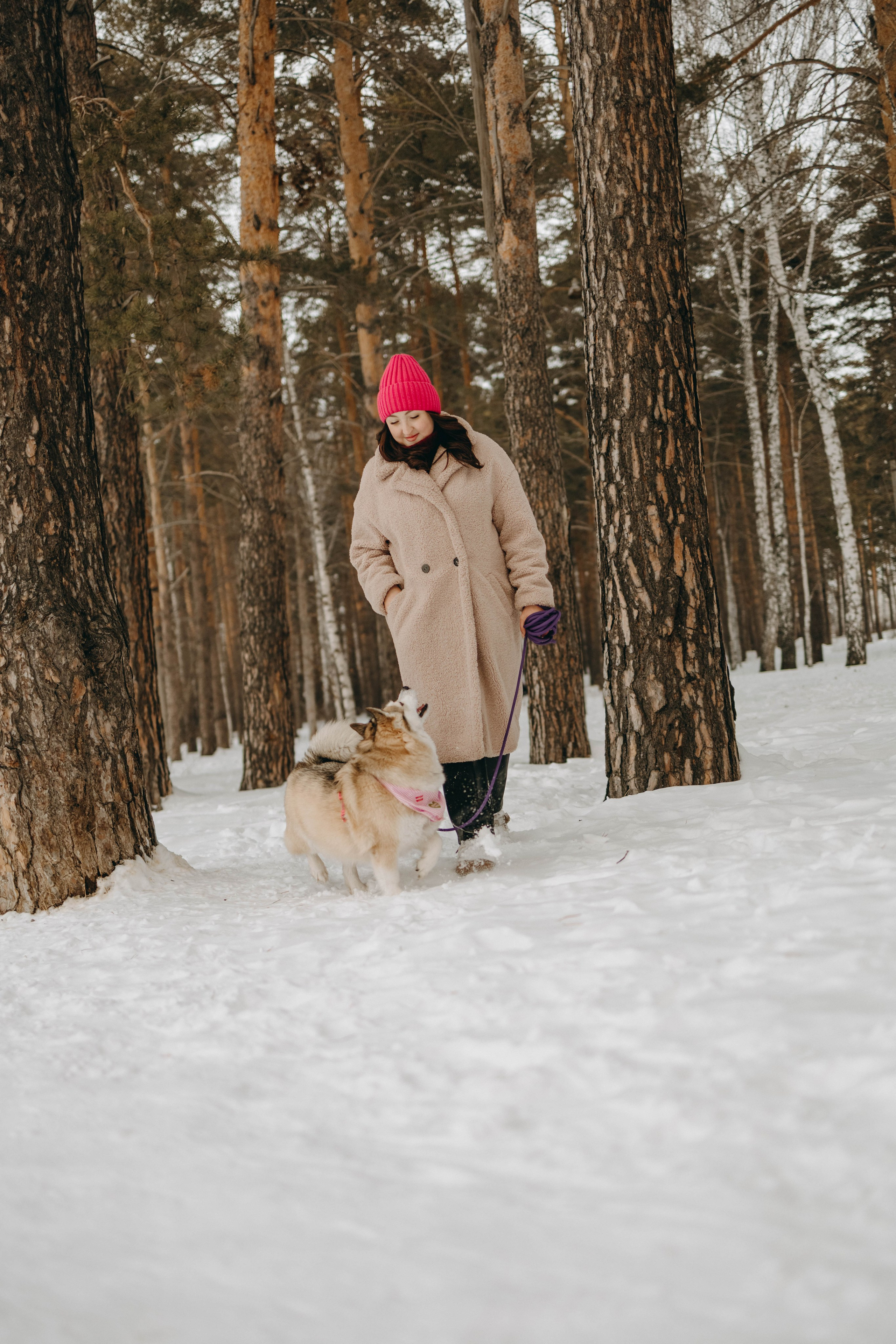 Варвара и Шелби. Фотограф-анималист в Екатеринбурге | Кристина