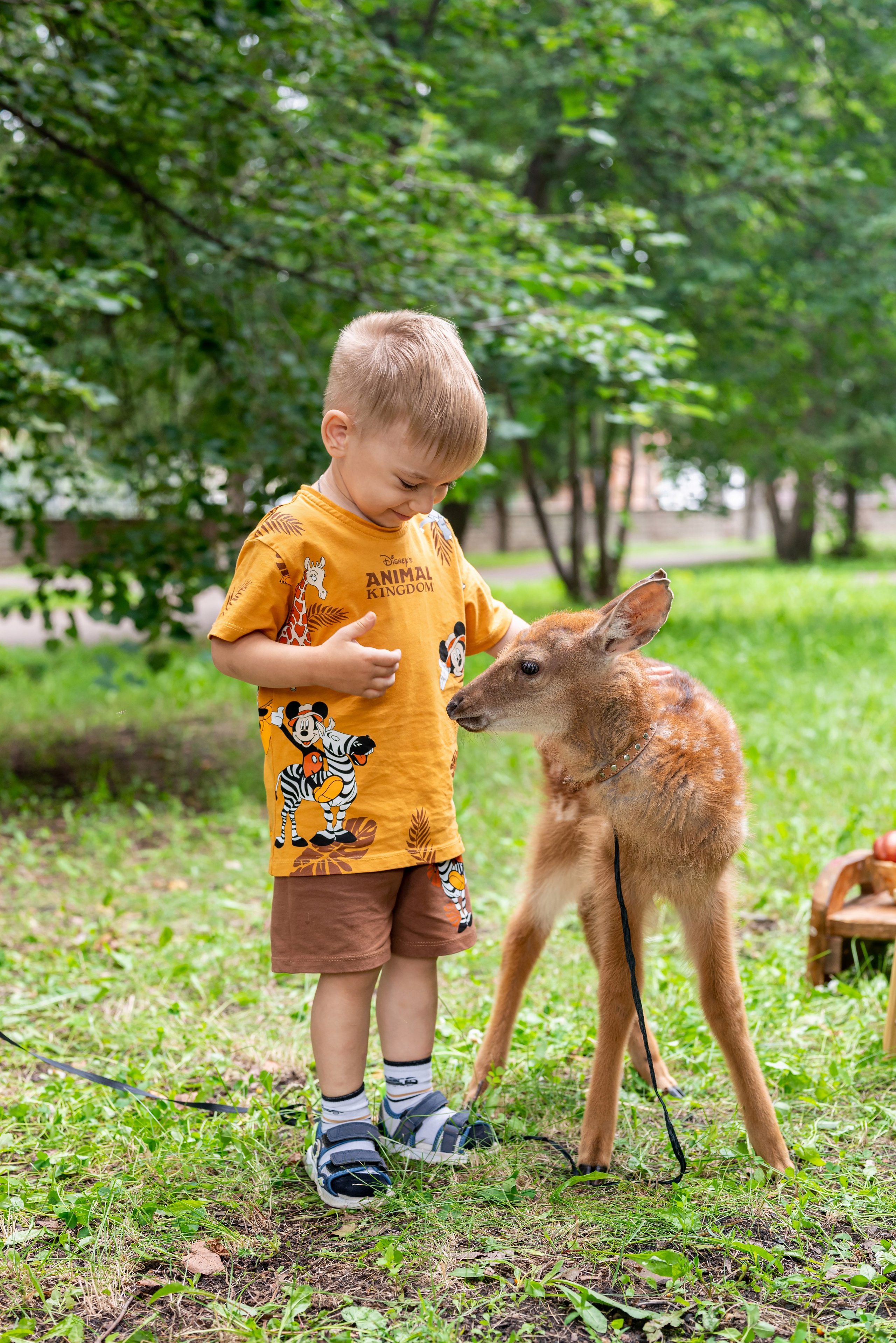 Фотопроект *Оленёнок Бэмби*. Фотограф в городе Салават