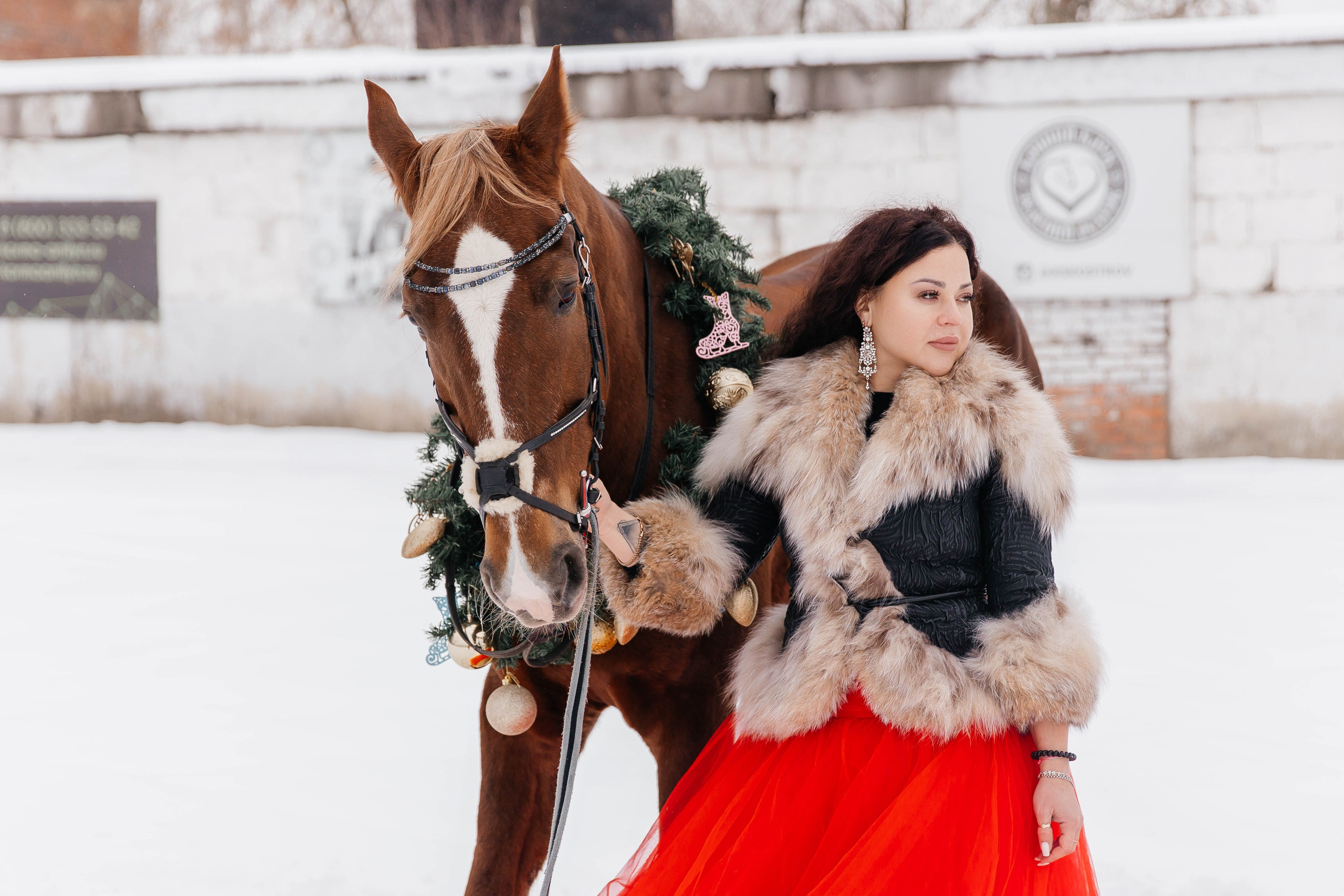 Лошади. Ваш фотограф в Москве и области Юлия