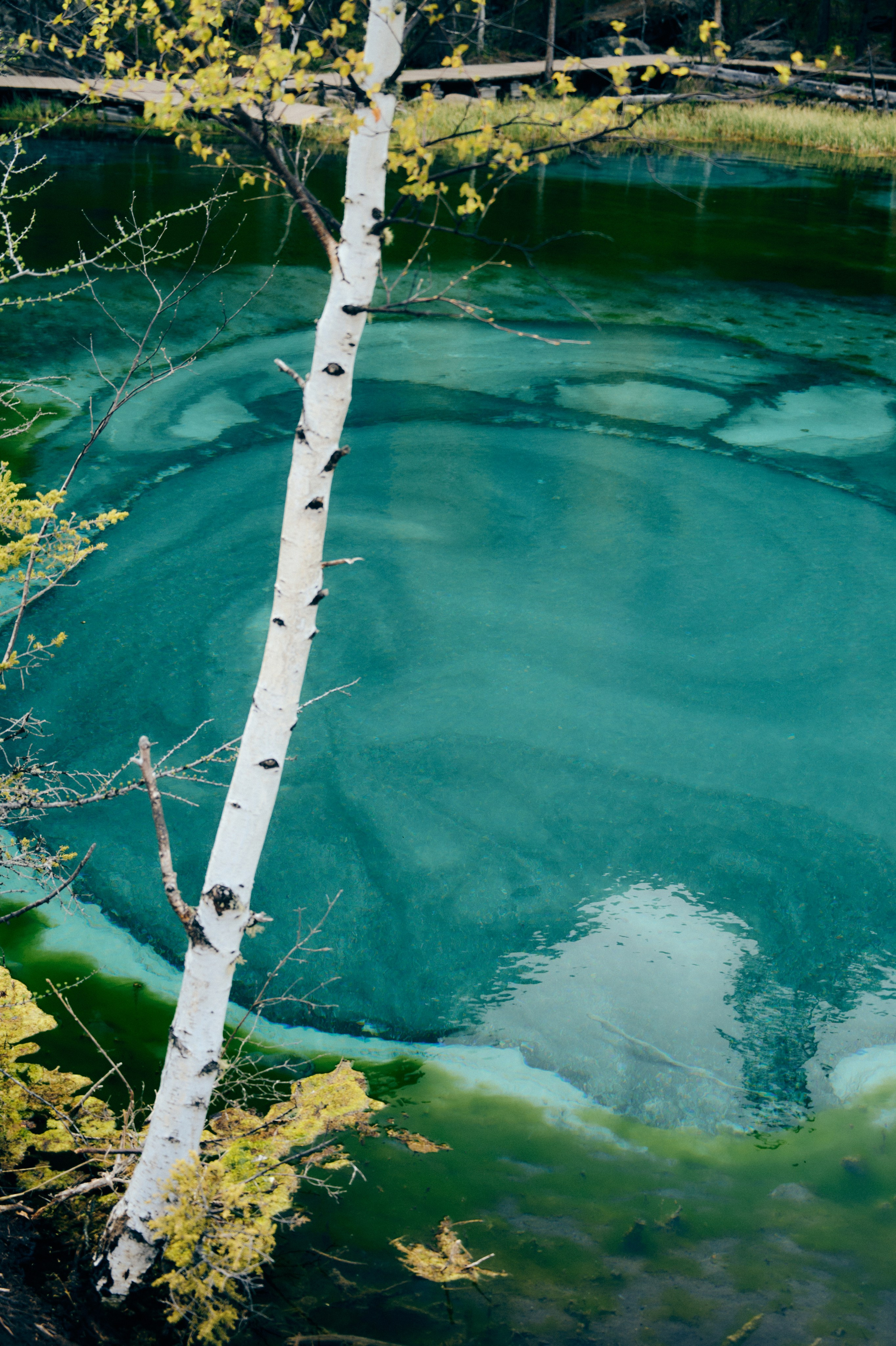 BAON x ALTAY. Фотограф Сурков Никита