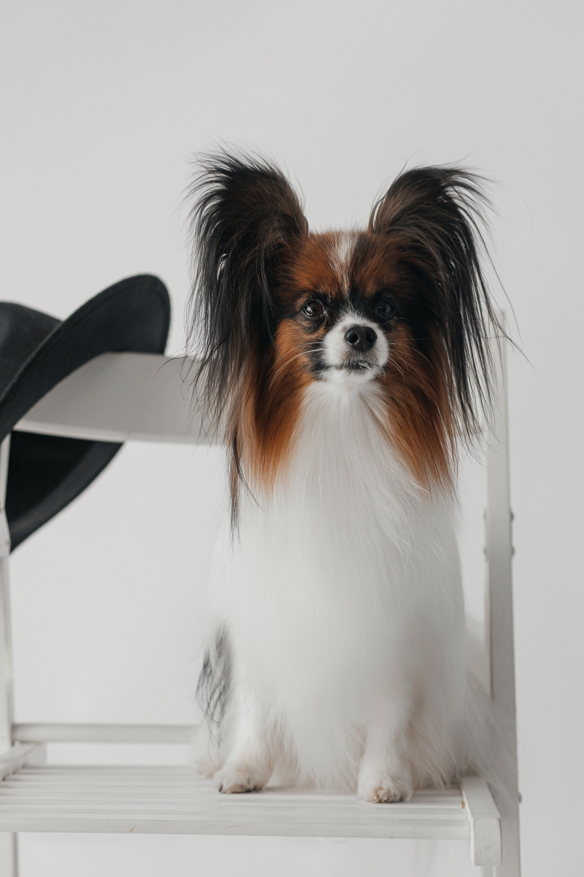 В студии. Свадебный фотограф Дмитрий Воробьев Ярославль