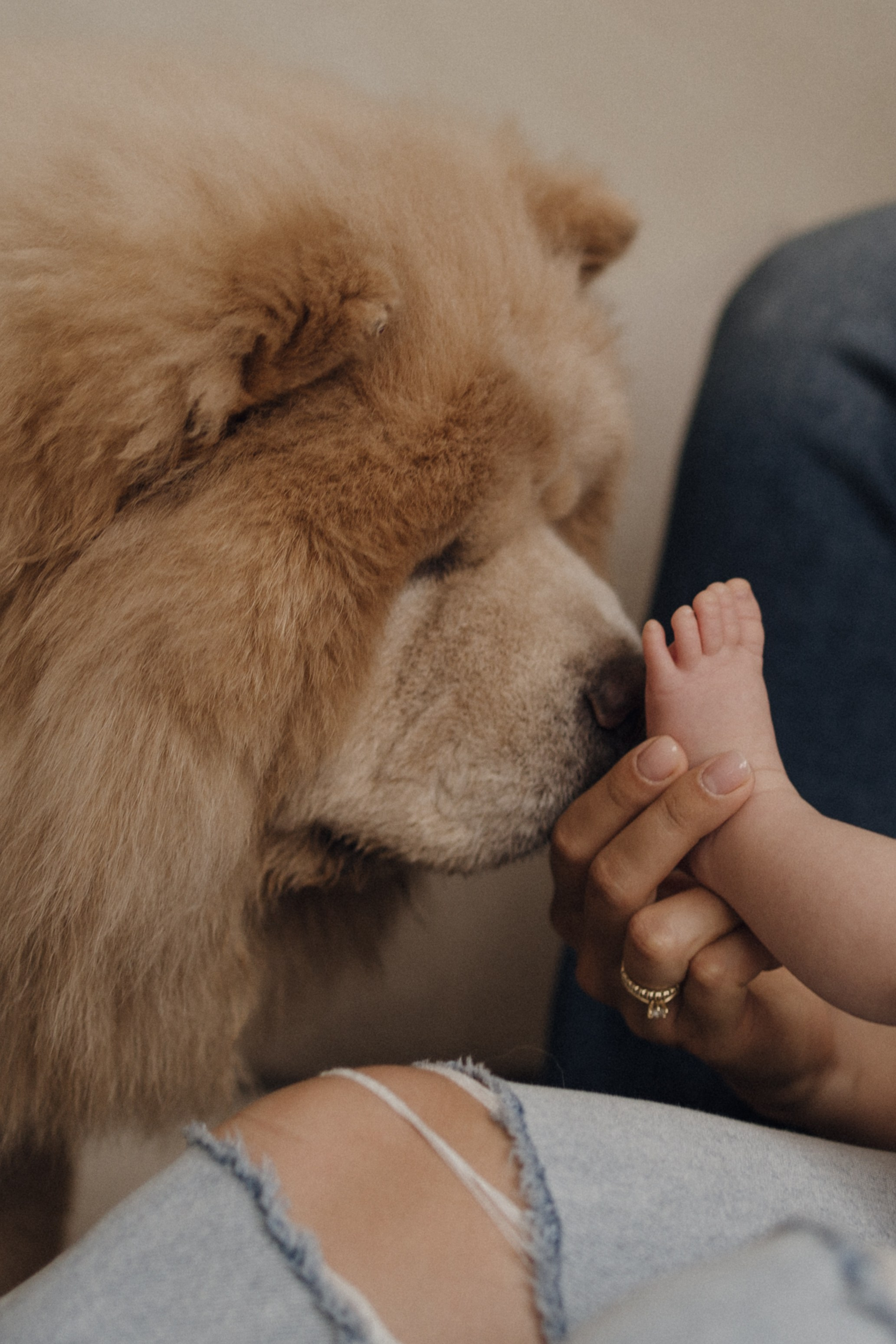 Домашняя фотосессия Эммы (1 месяц). Свадебный фотограф в Краснодаре и Сочи Винидиктова Екатерина