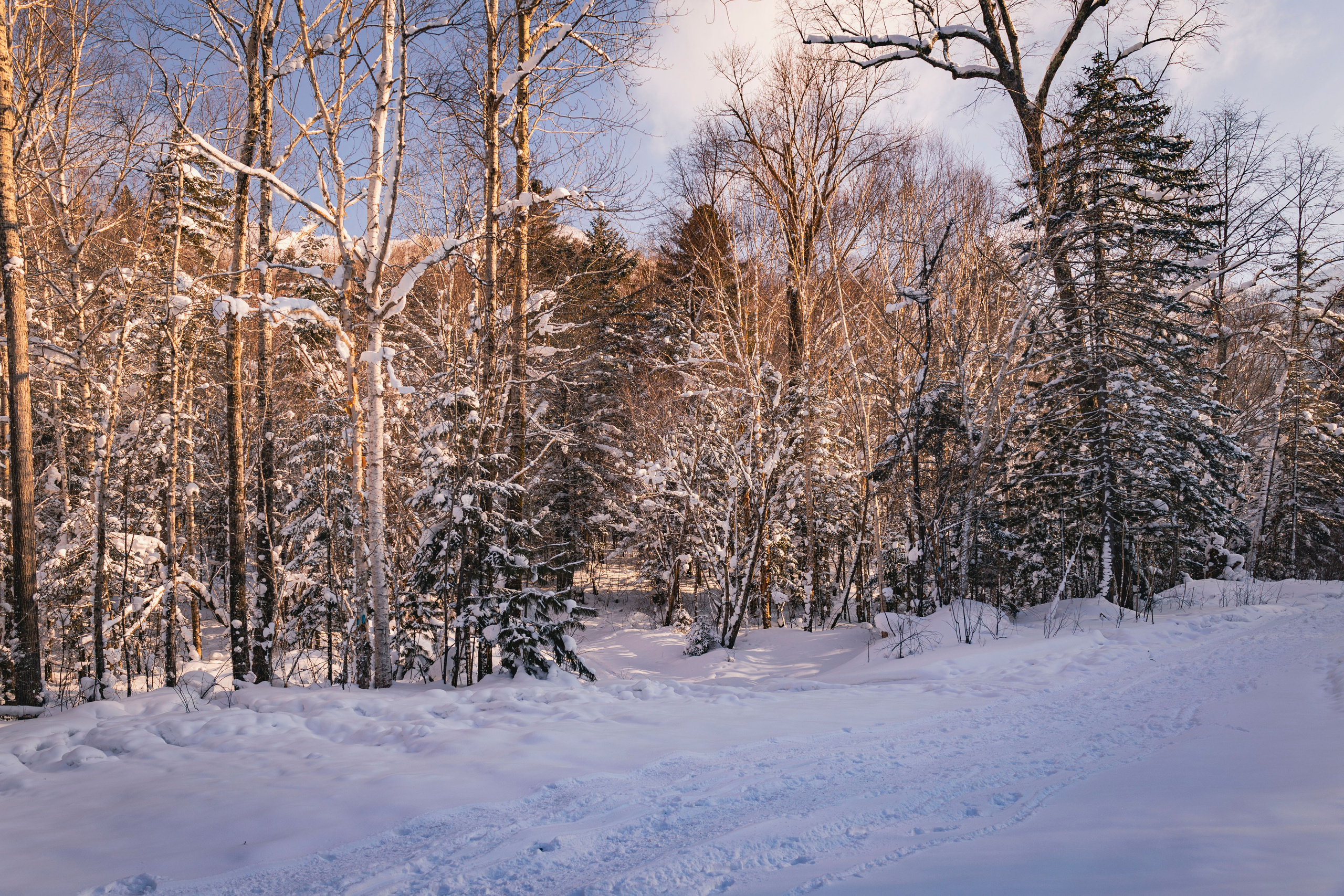 Походы. Фотограф г. Владивосток