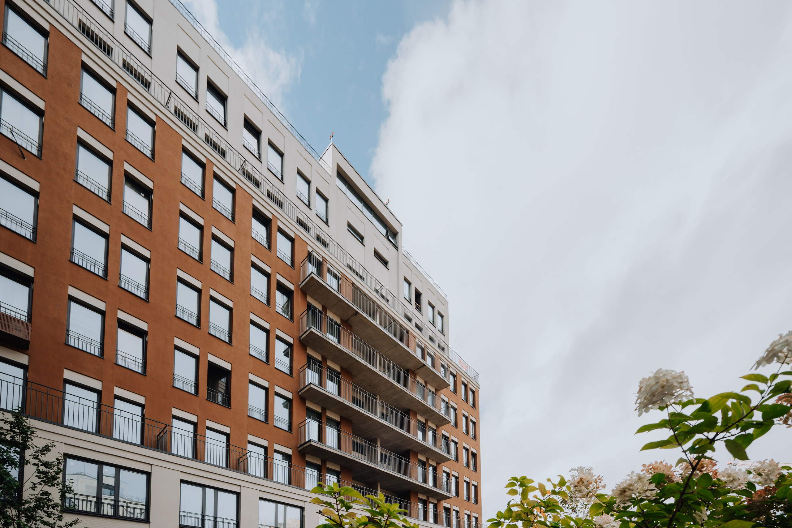 ЖК I Пшеница. Фотограф Новосибирск I Дамдинов Бато