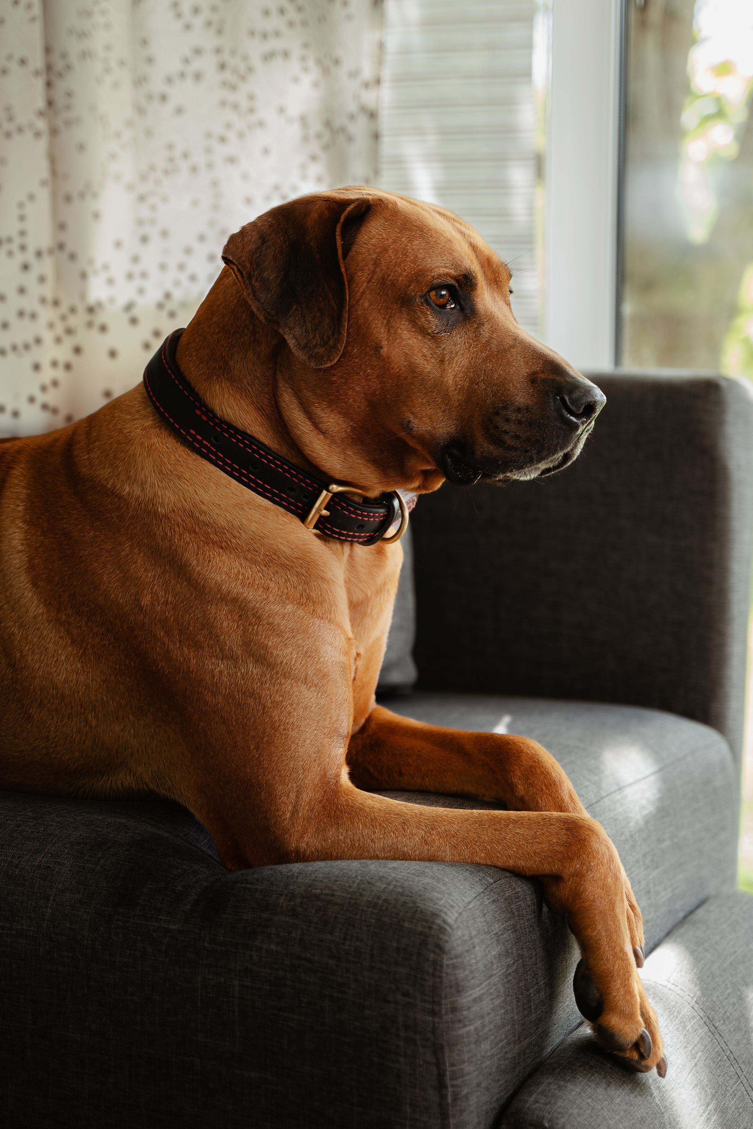 A&A. Репортажный и свадебный фотограф в Минске Шамко Анатолий