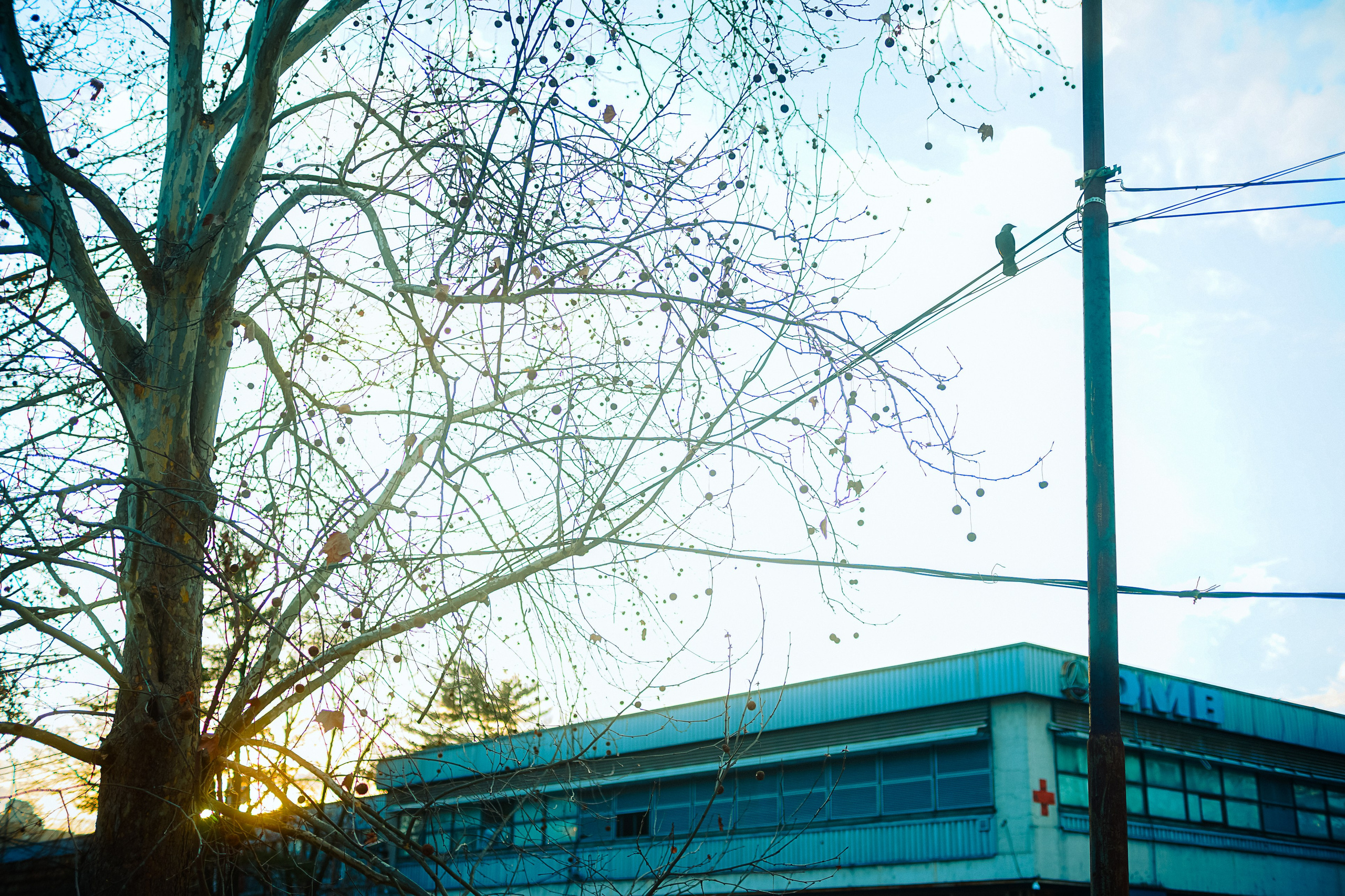 Urban and Street. Oleg Kozachok — Photographer with Protanopia | Portraits, Texture & Light