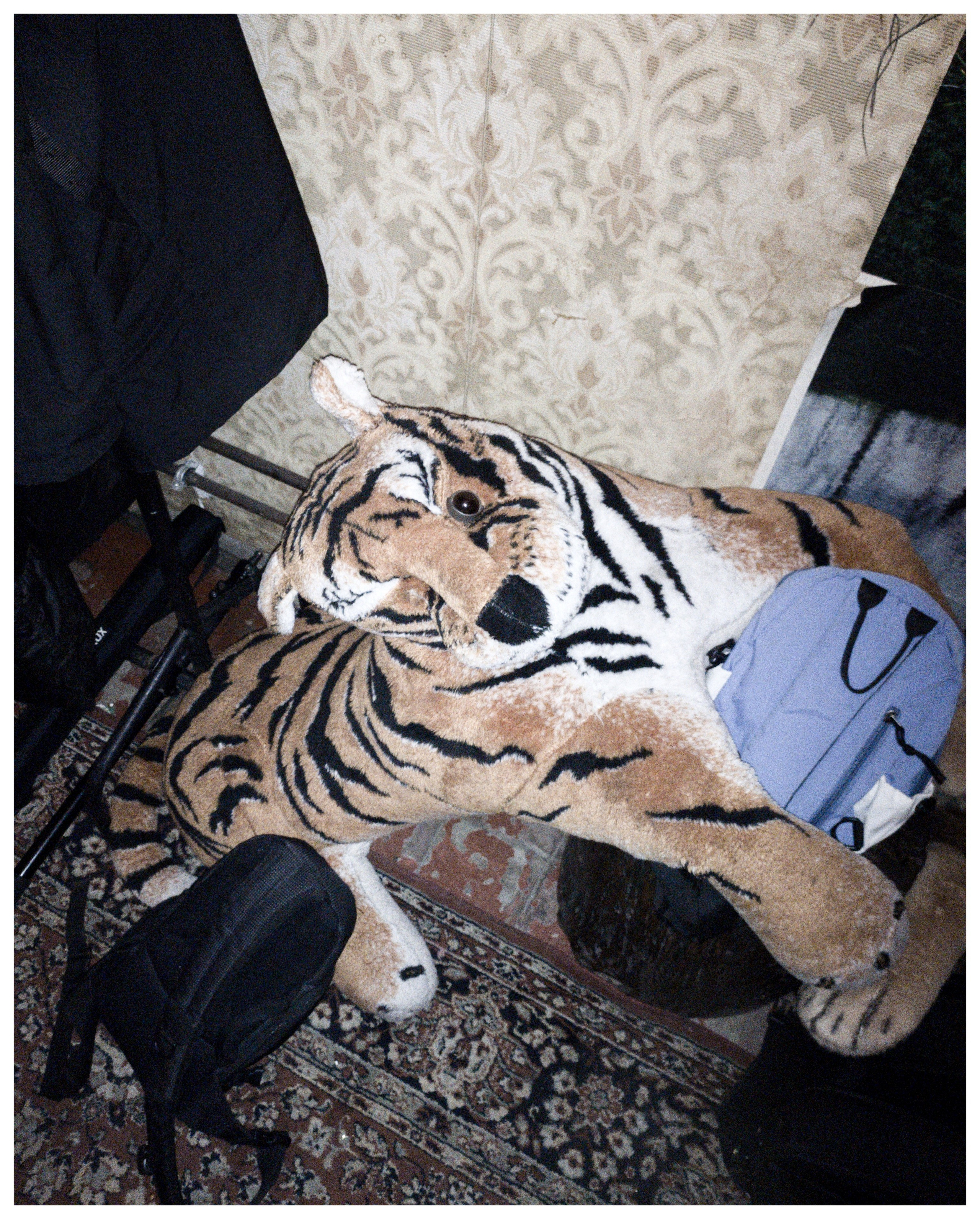 Мир повседневных Вещей. Репортажный и портретный фотограф, Влад Хафизов, Москва