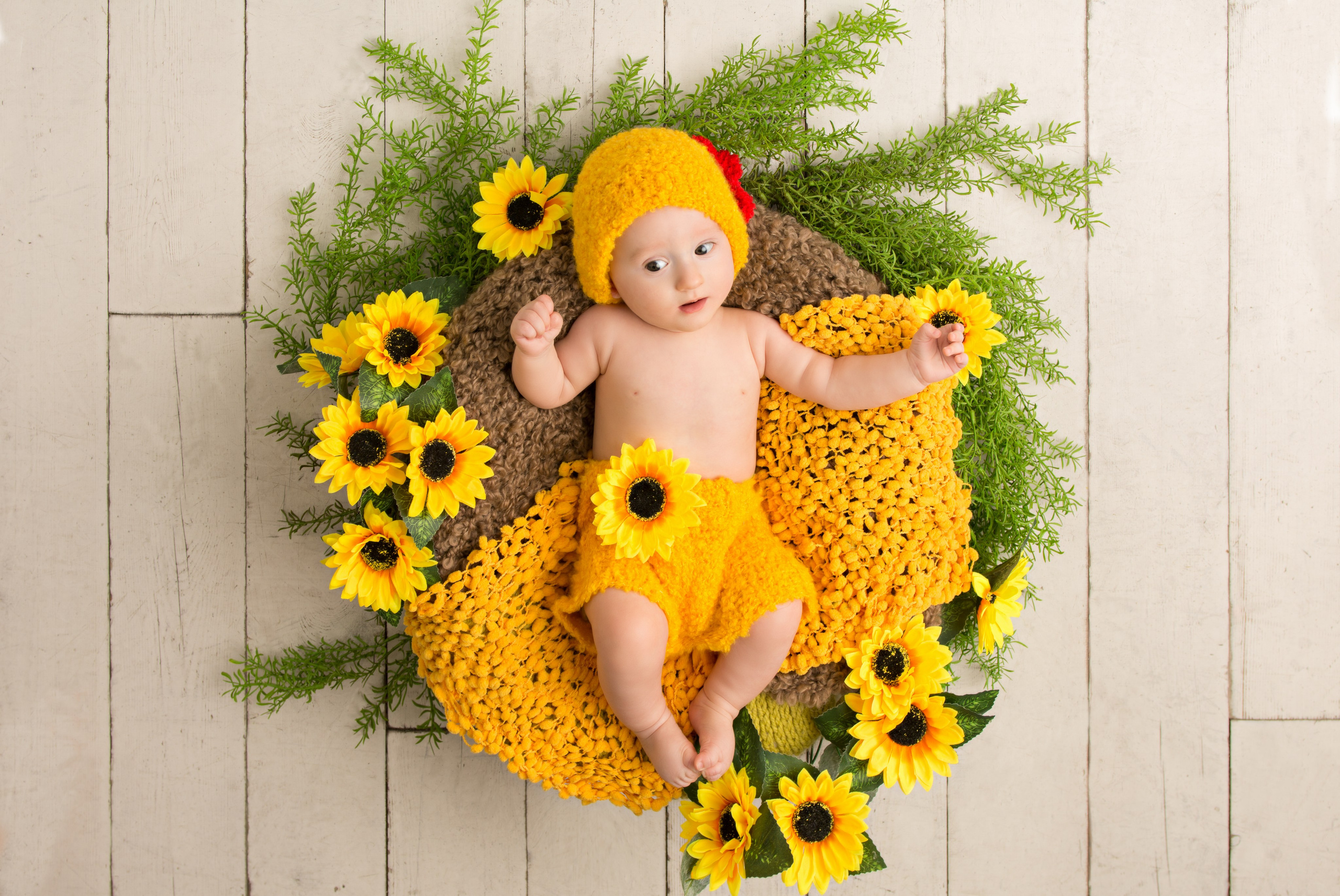 Семейная съемка с новорожденным. Зал Люмен. Фотосессия беременности — Крылова Натали — Москва