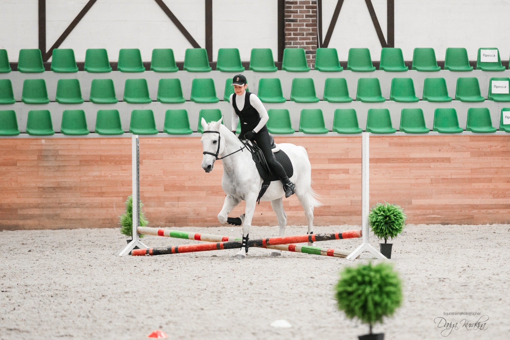 8-я международная выставка Конная Россия. Конный фотограф Куракина Дарья • Фотосессии с лошадьми