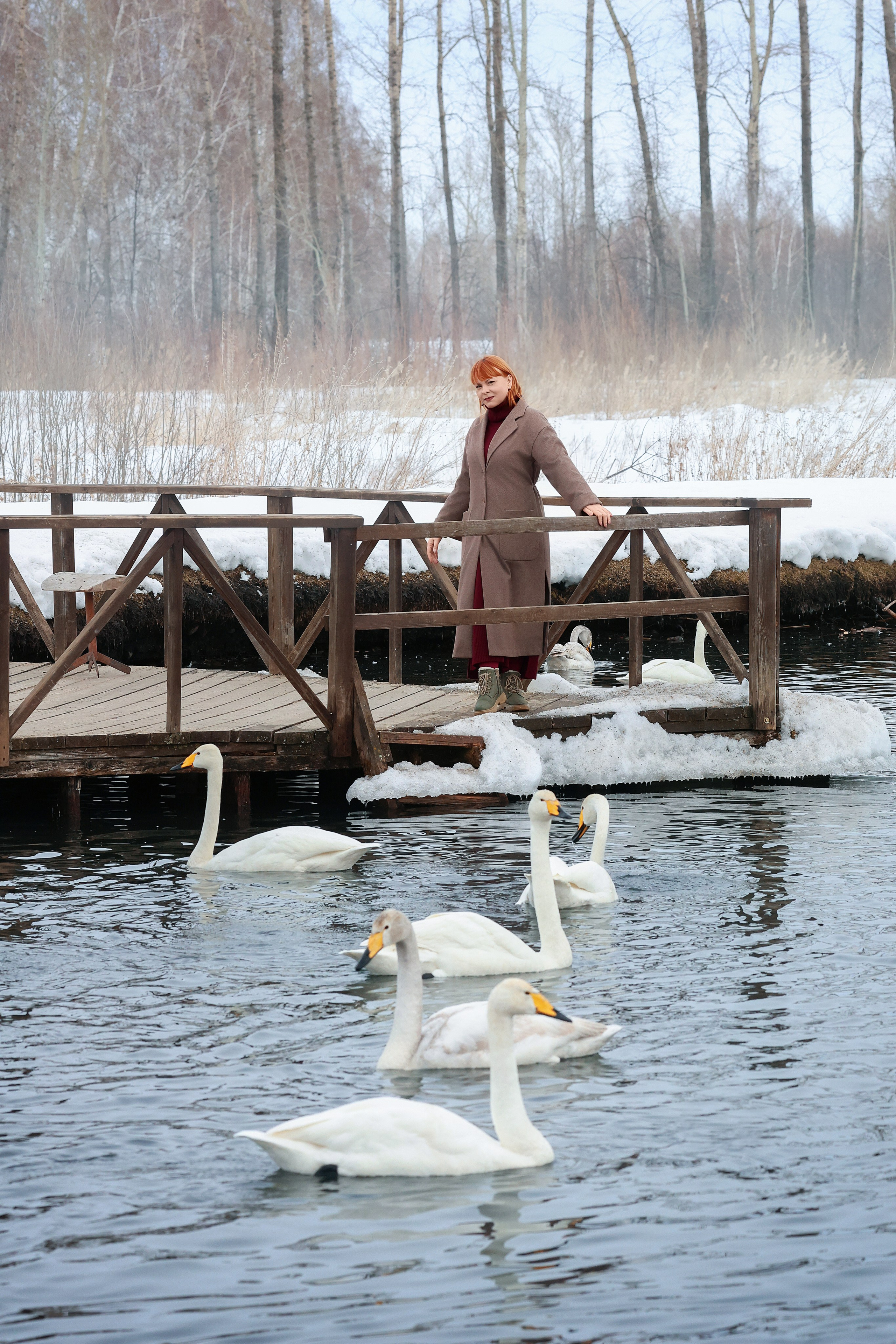 Лебединое озеро. Сказочный фотограф фотопроекты фототуры в Новосибирске и на Алтае